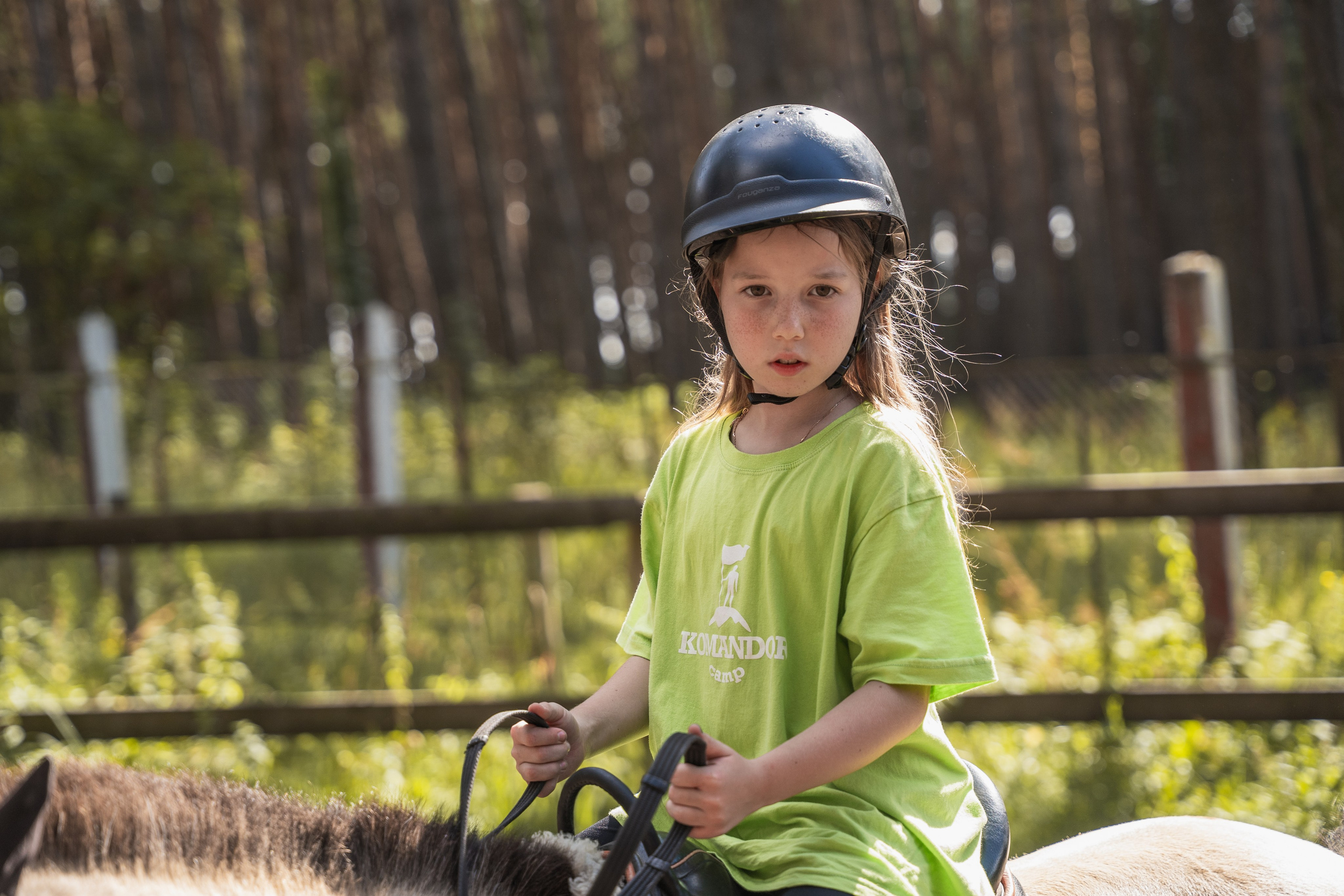 Конное занятие. Главная