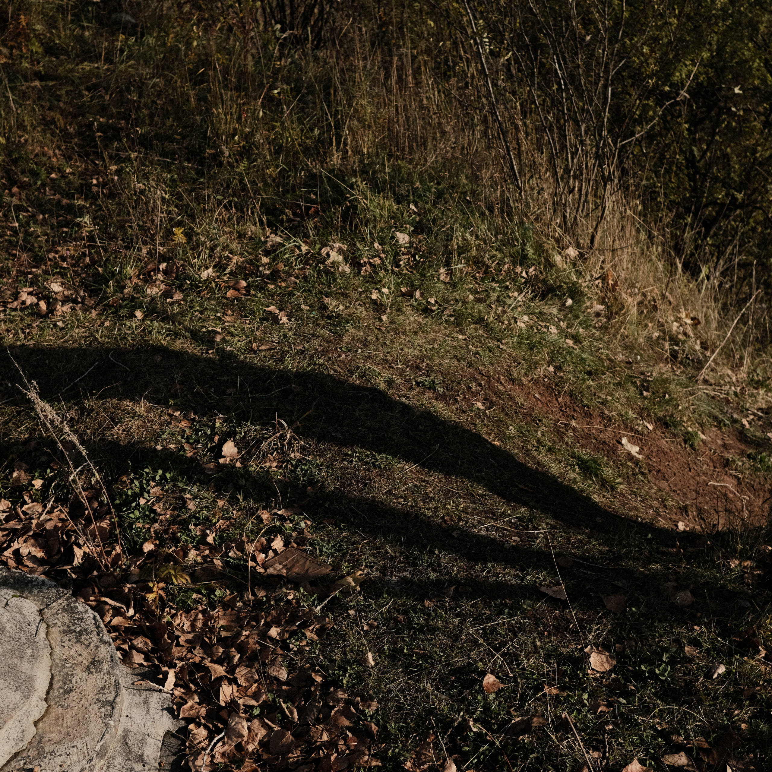 Нижний Новгород. LIYALEE PHOTO