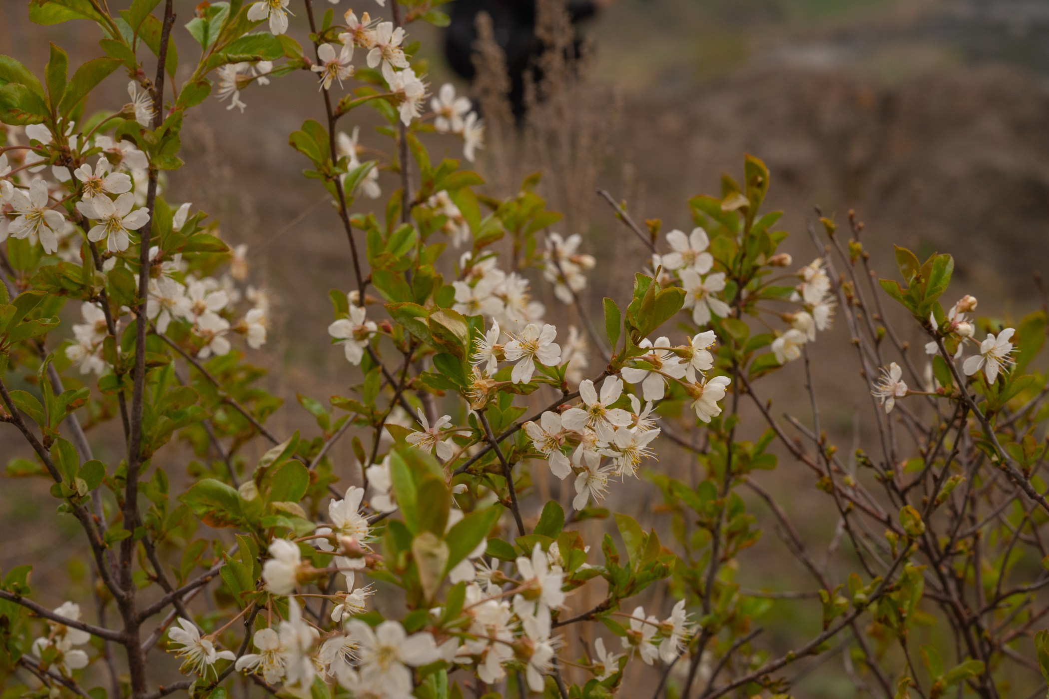 Яна и Егор. Контент и бизнес съемка. Первоуральск, Екатеринбург.Наталья Старек