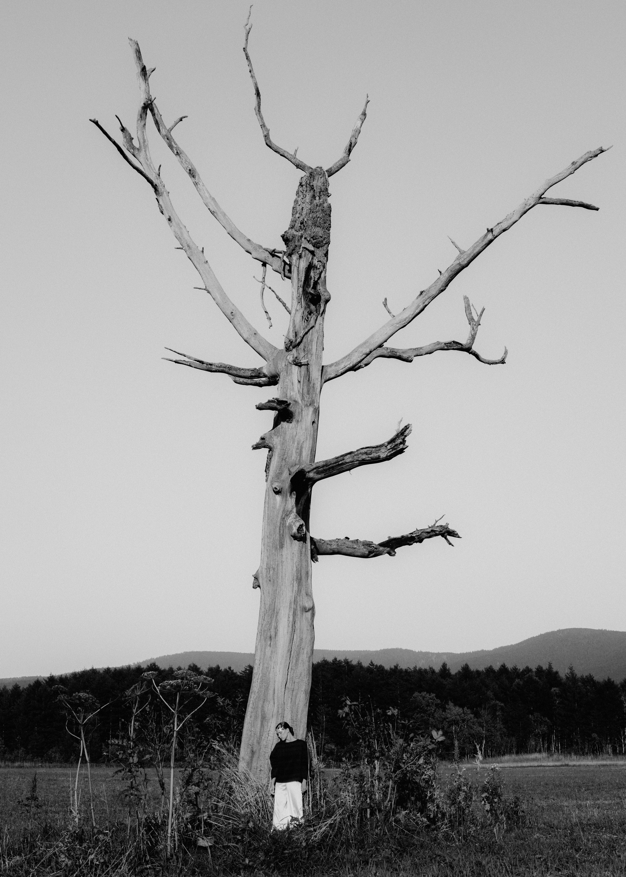 Portfolio. @beingabird.photography