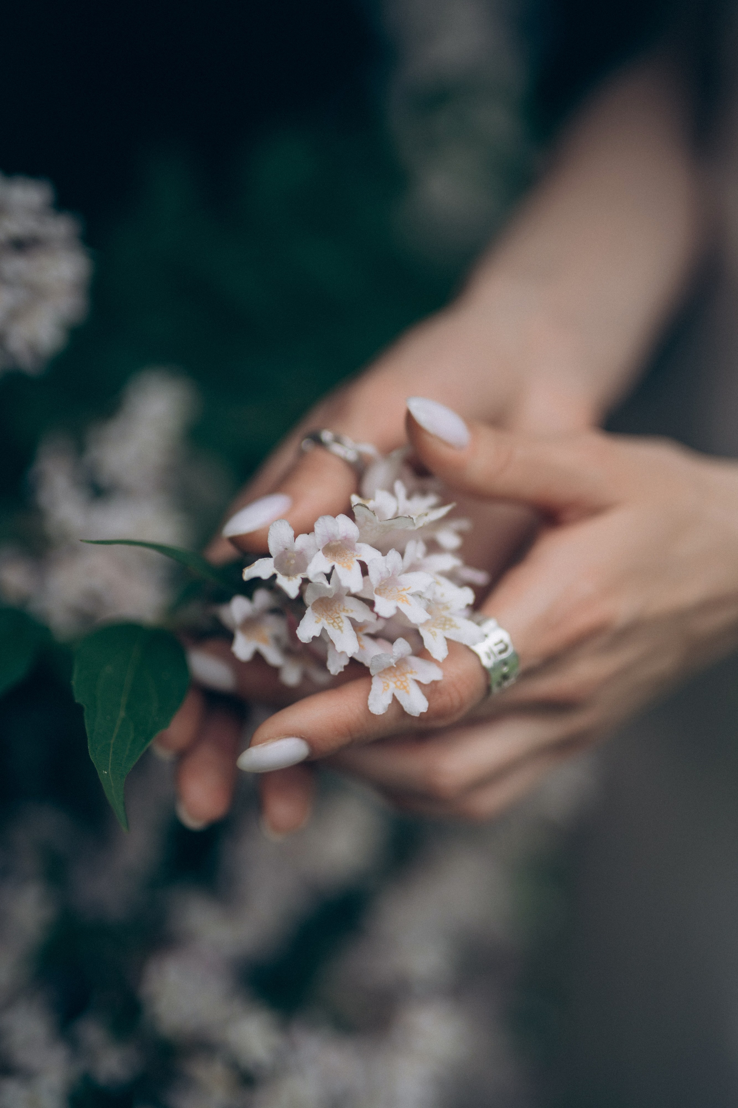 Ника. Фотограф в Алматы Чалова Нафиса