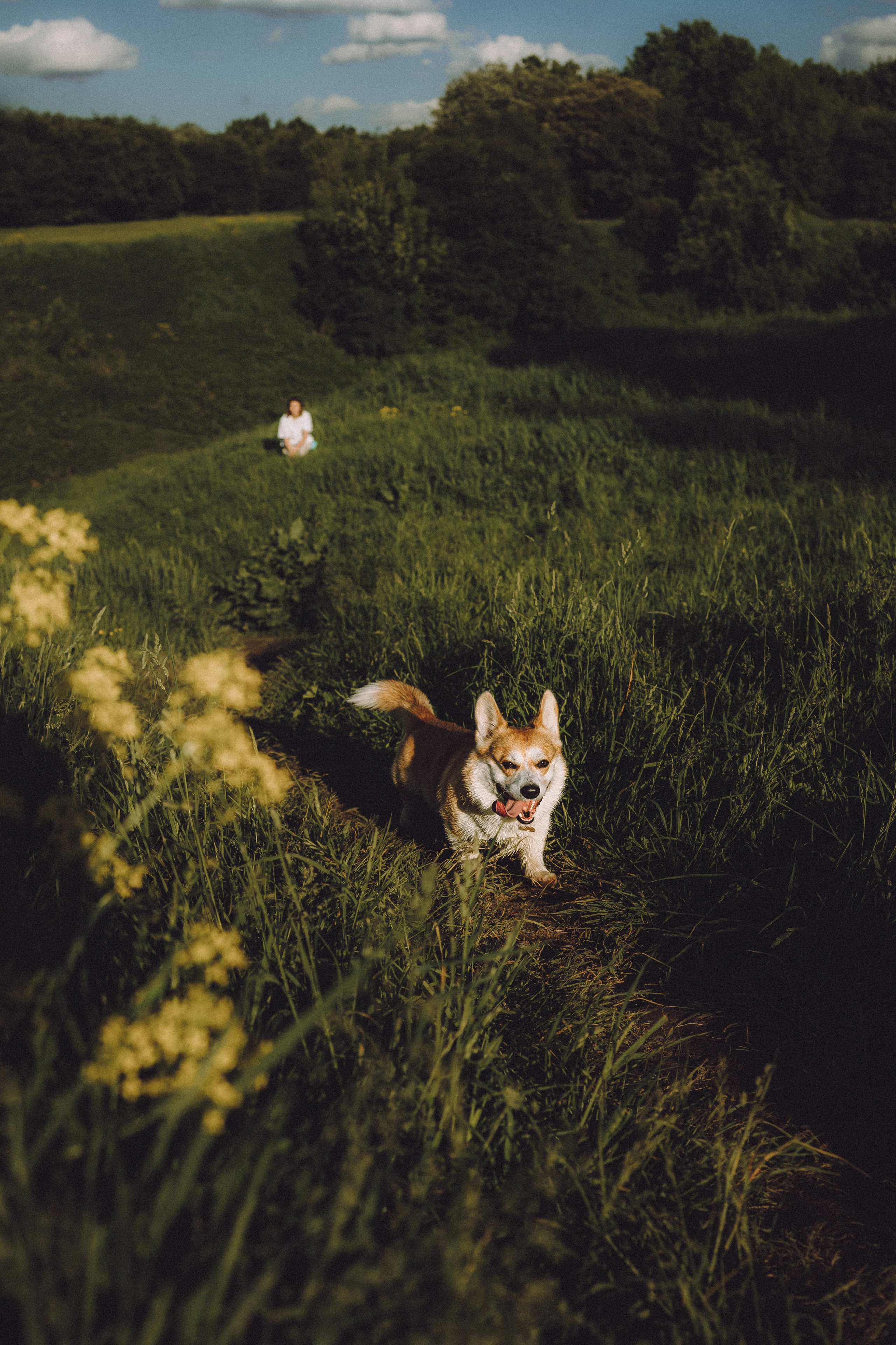 Вирджик и его семья