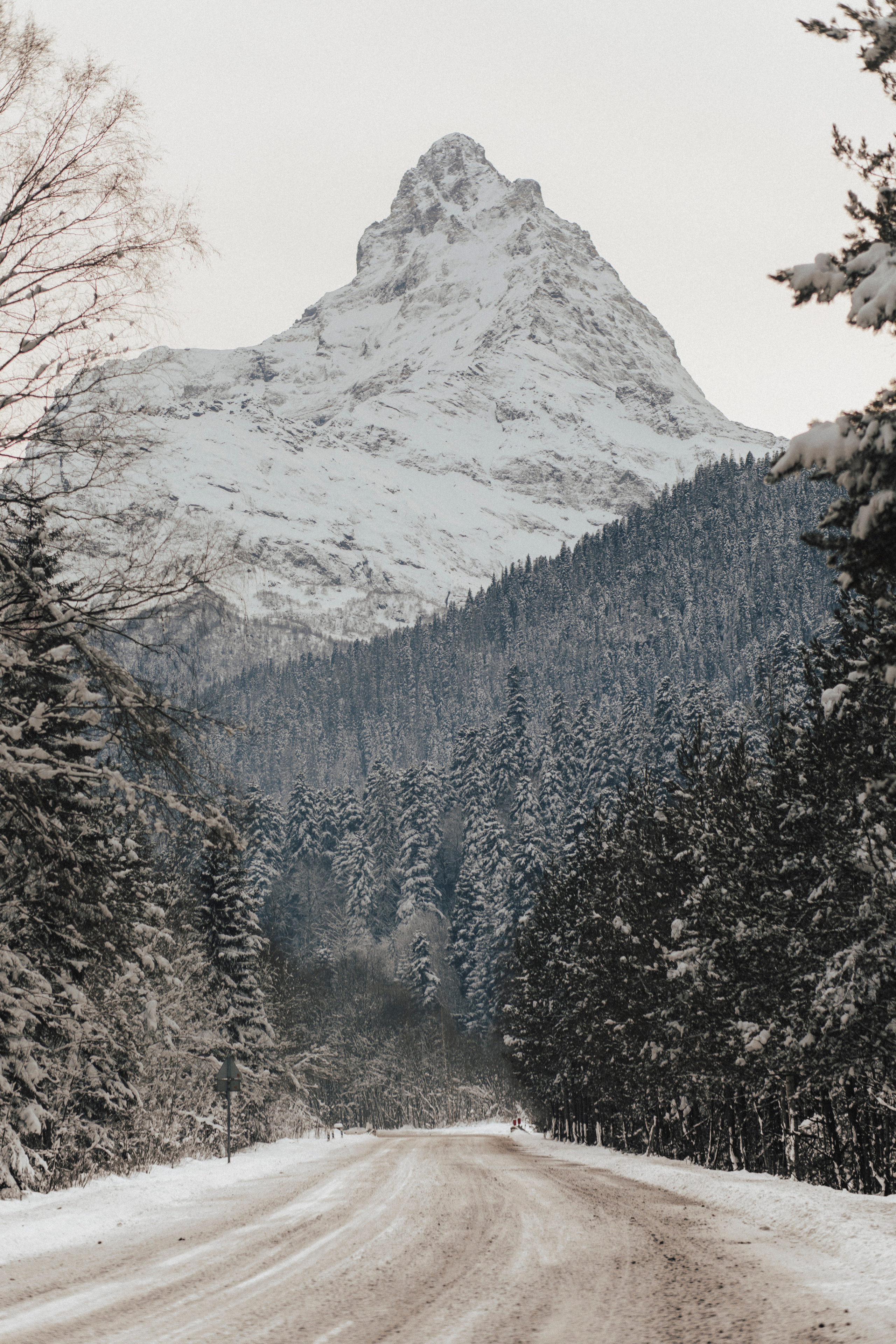 ROMAN & ALINA | DOMBAY. Фотограф Настя Конник | Пятигорск | Эльбрус | Домбай | Архыз