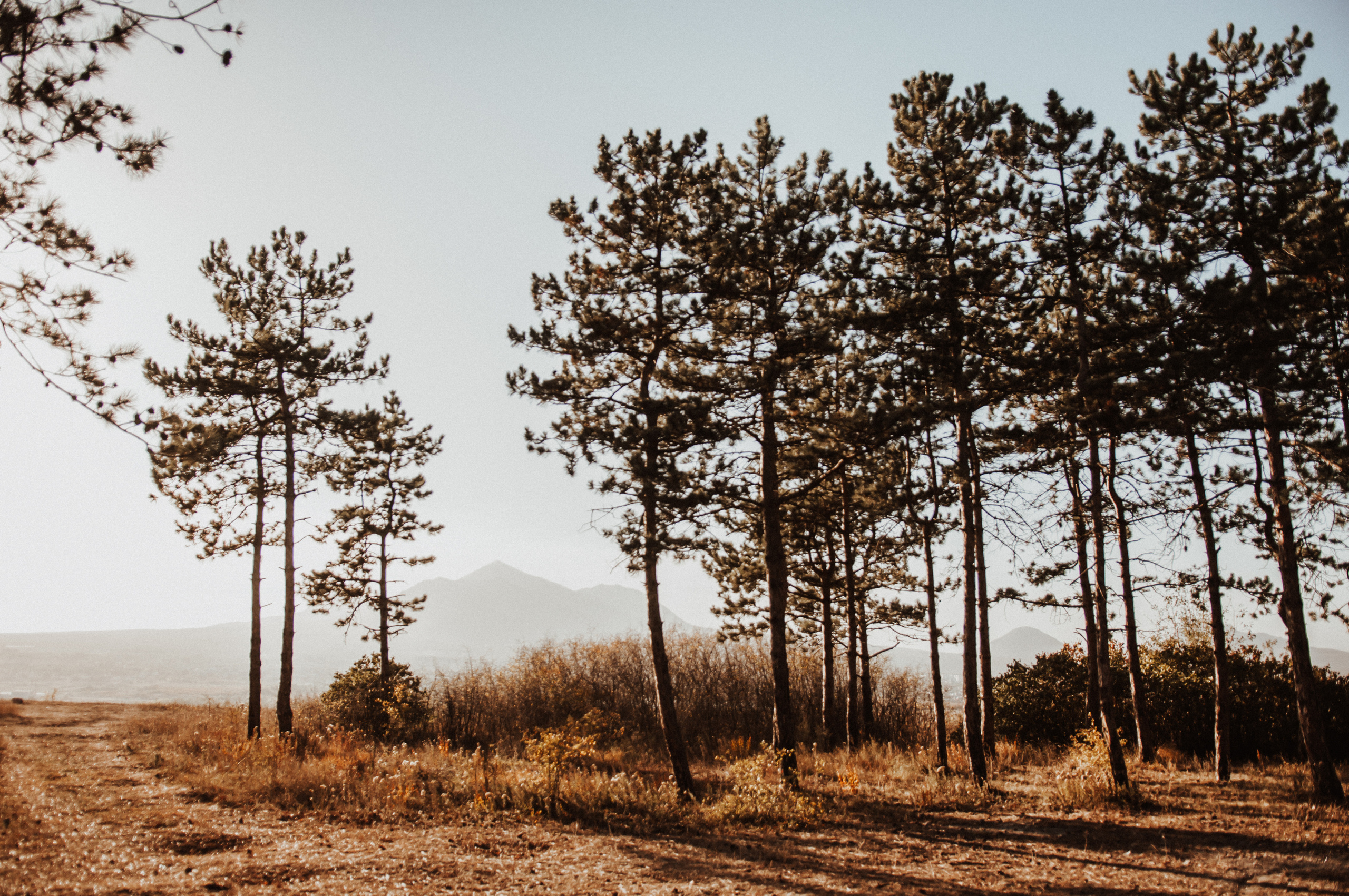 VYACHESLAV & ALINA | ZHELEZNOVODSK. Фотограф Настя Конник | Пятигорск | Эльбрус | Домбай | Архыз