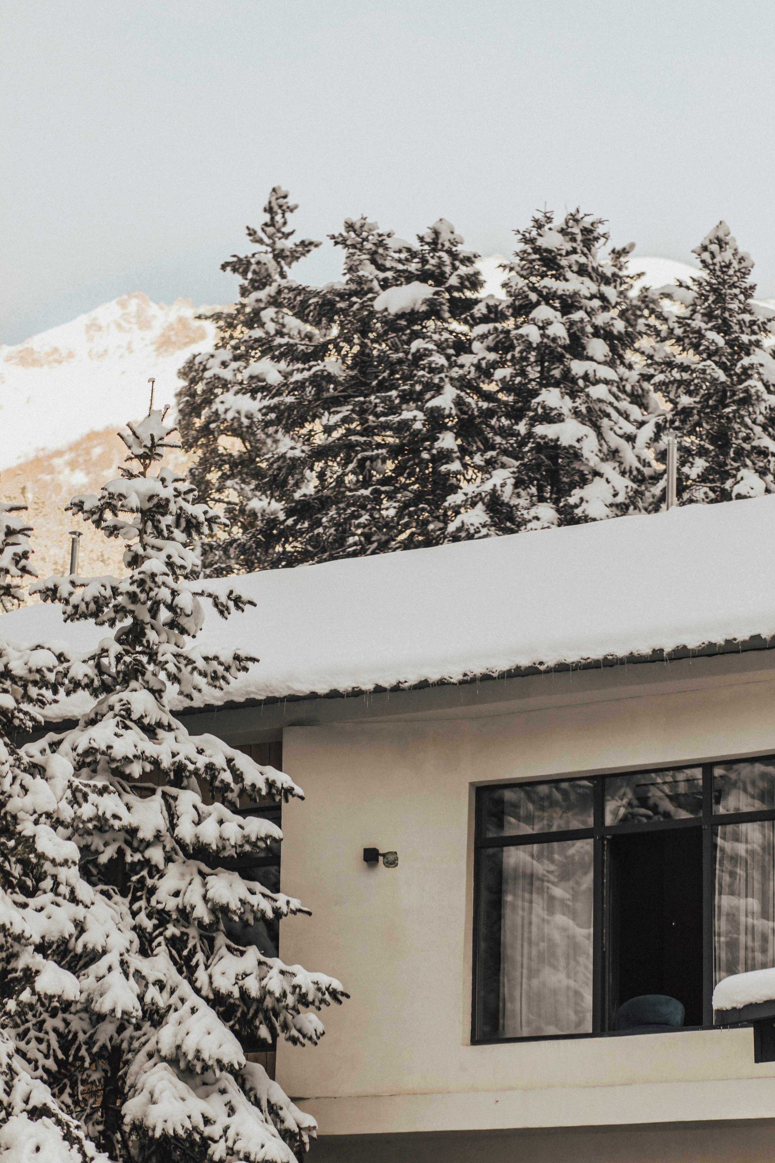 ROMAN & ALINA | DOMBAY. Фотограф Настя Конник | Пятигорск | Эльбрус | Домбай | Архыз