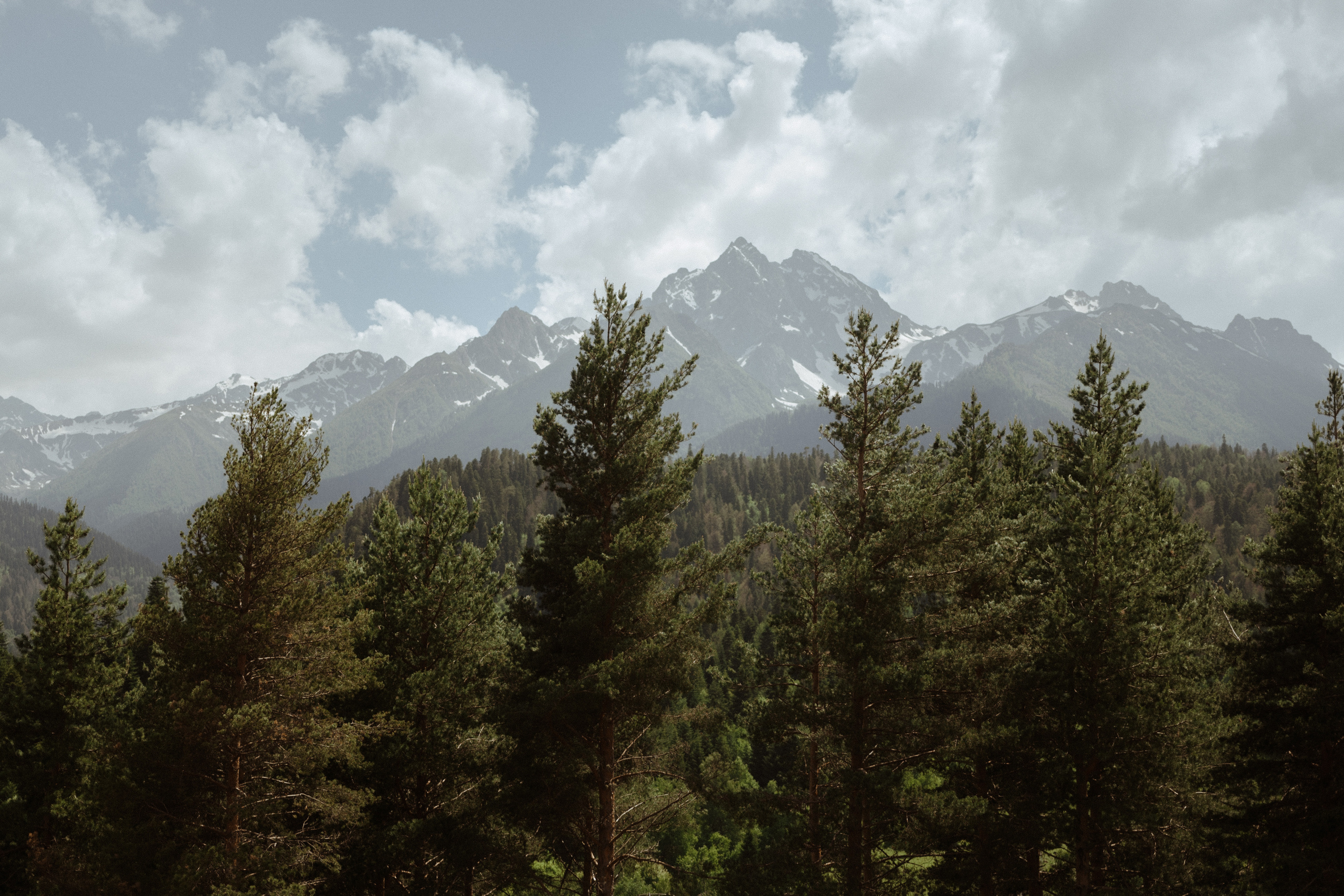 Архыз свадьба организатор фотограф свадебный ведущий ресторан