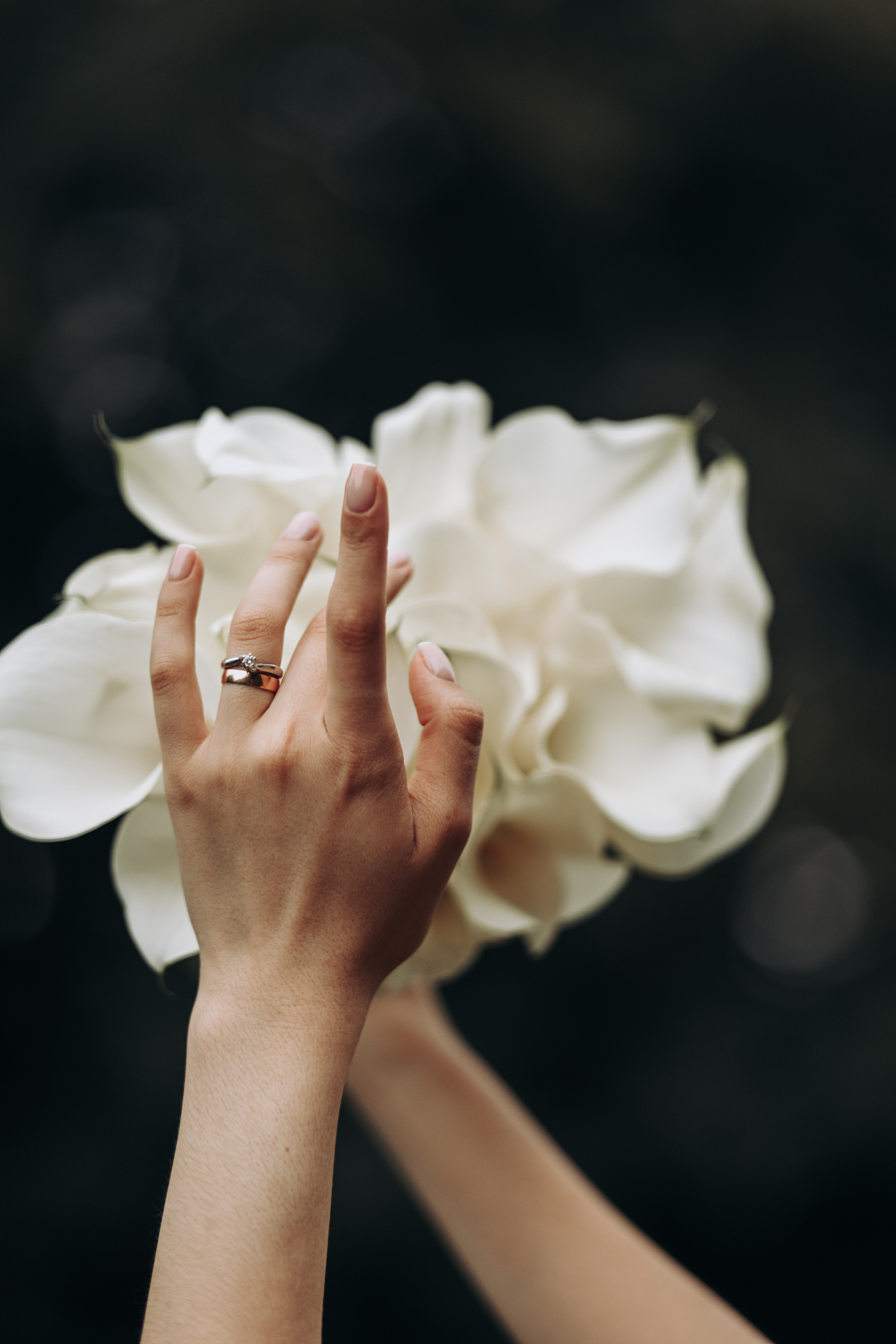 ASHOT & NAIRA | STAVROPOL. Фотограф Настя Конник | Пятигорск | Эльбрус | Домбай | Архыз