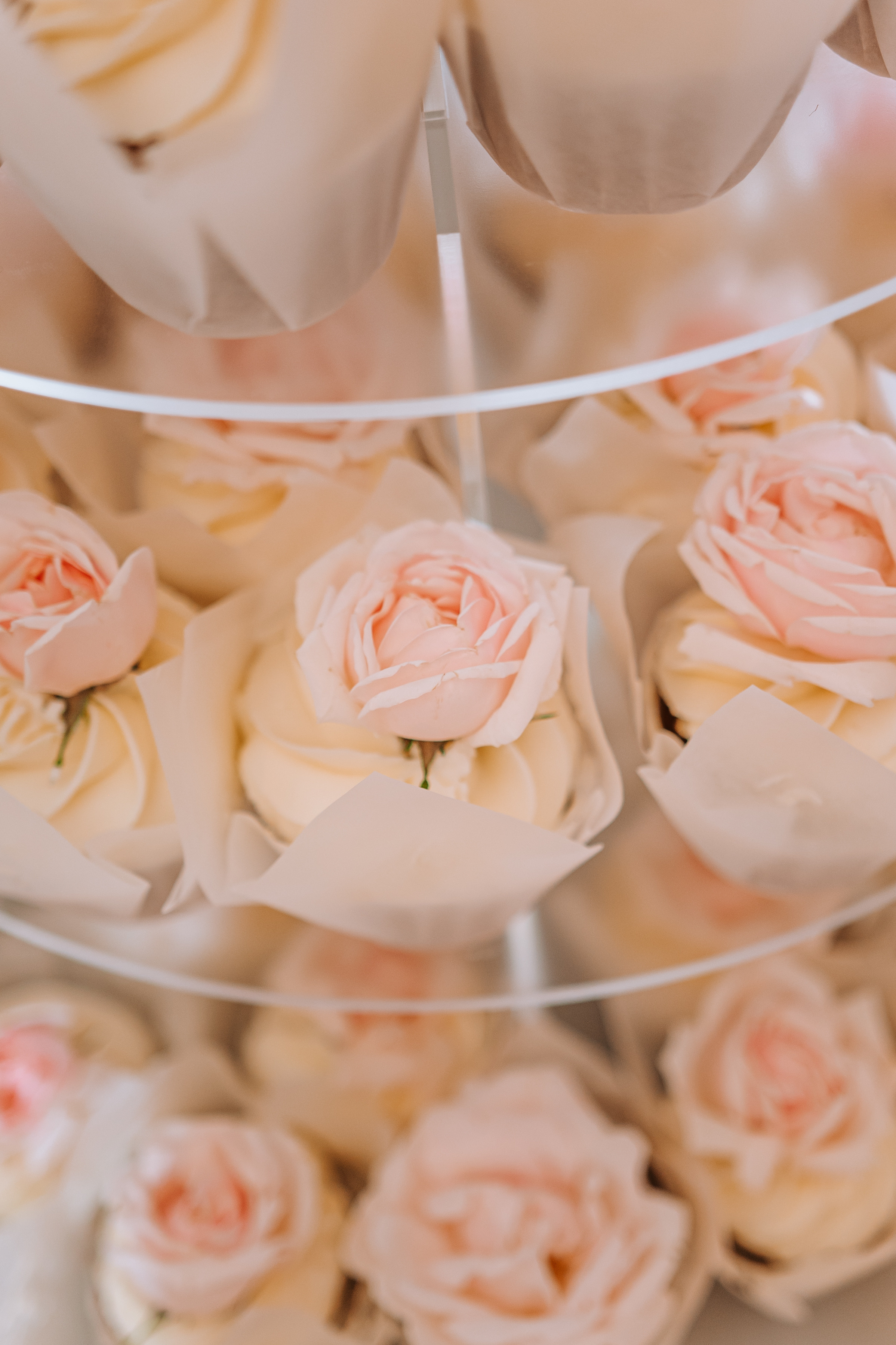 IVAN & DIANA | PYATIGORSK. Фотограф Настя Конник | Пятигорск | Эльбрус | Домбай | Архыз