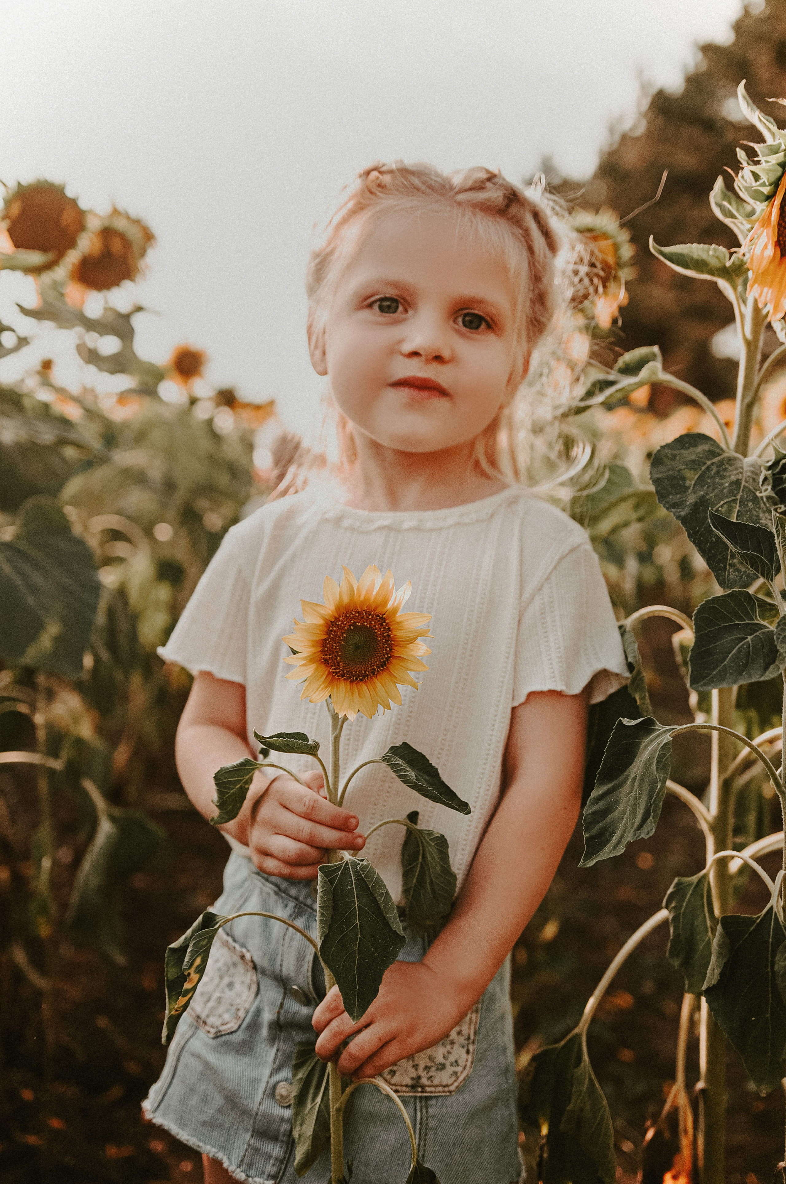 ПОД СОЛНЦЕМ. Фотограф Настя Конник | Пятигорск | Эльбрус | Домбай | Архыз