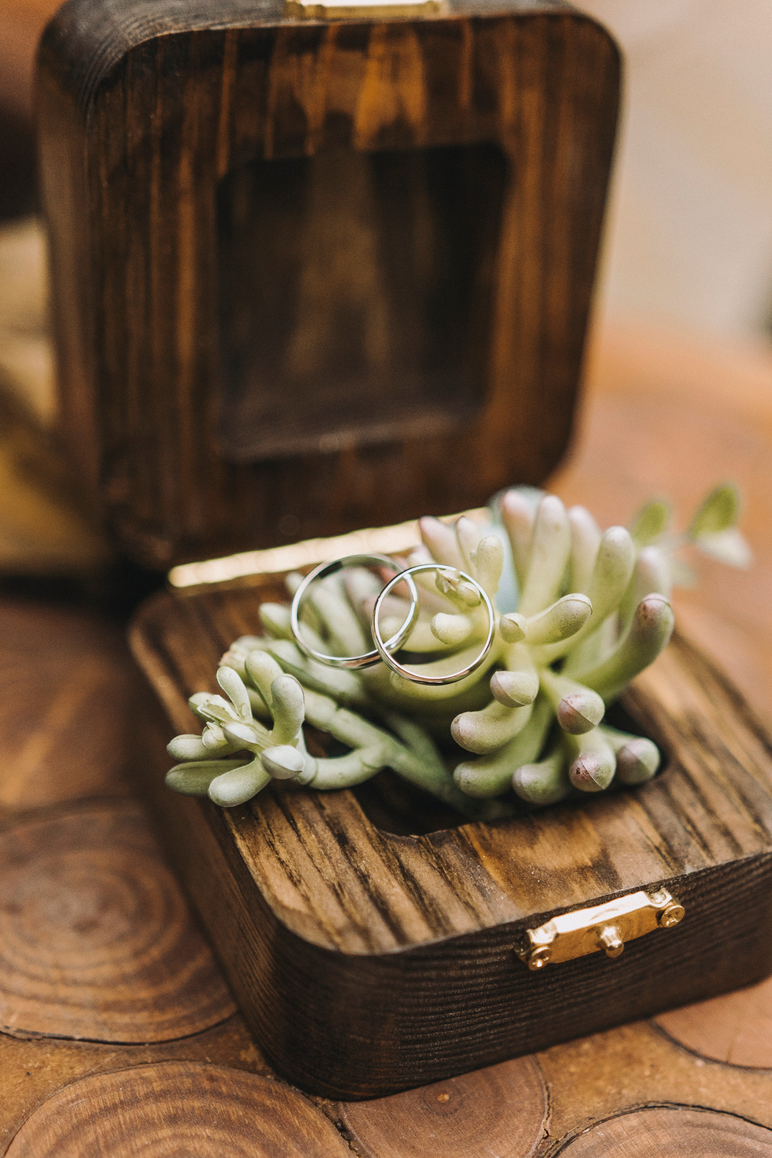 Декор свадебный арка декоратор кмв пятигорск