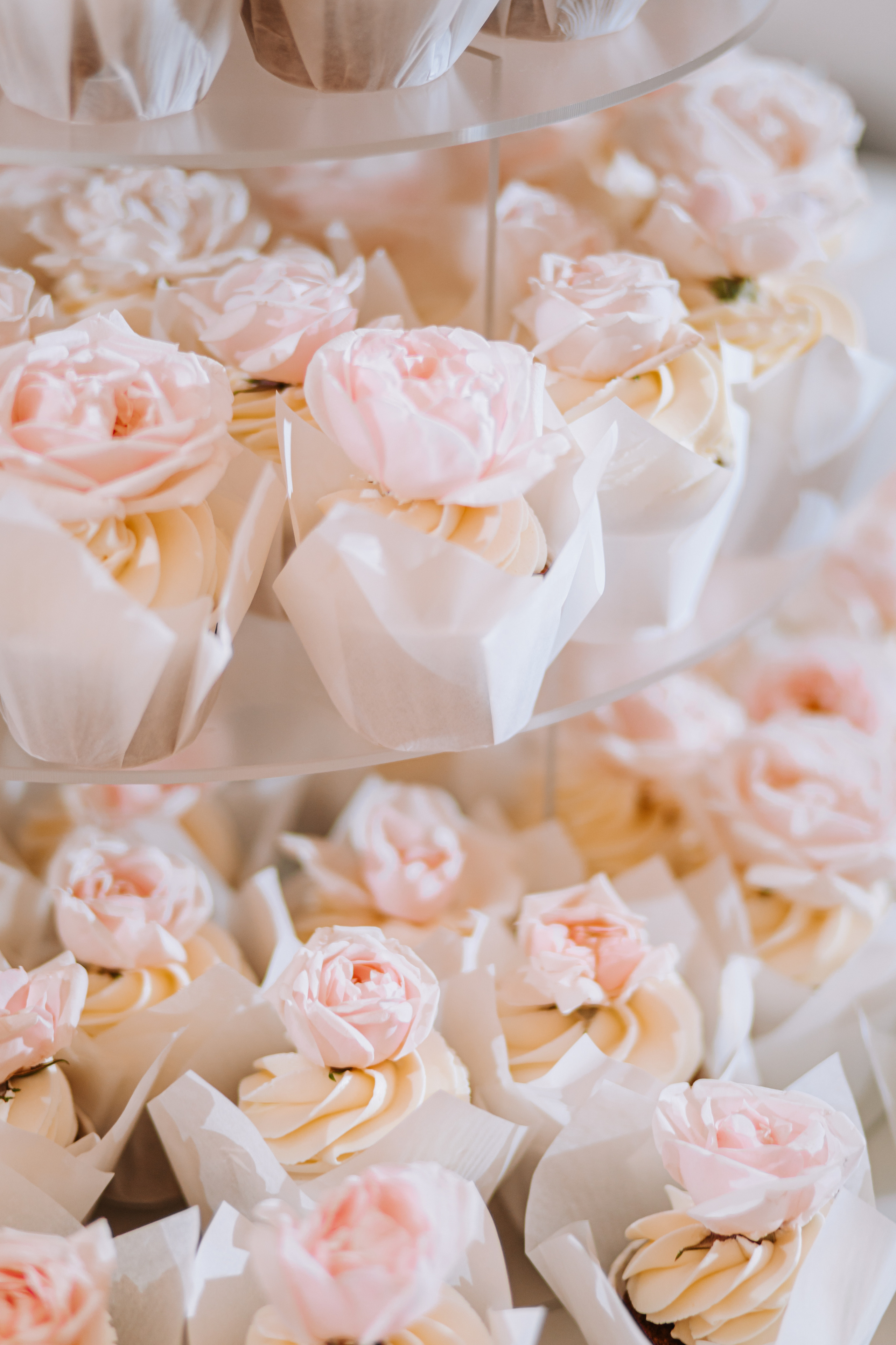 IVAN & DIANA | PYATIGORSK. Фотограф Настя Конник | Пятигорск | Эльбрус | Домбай | Архыз