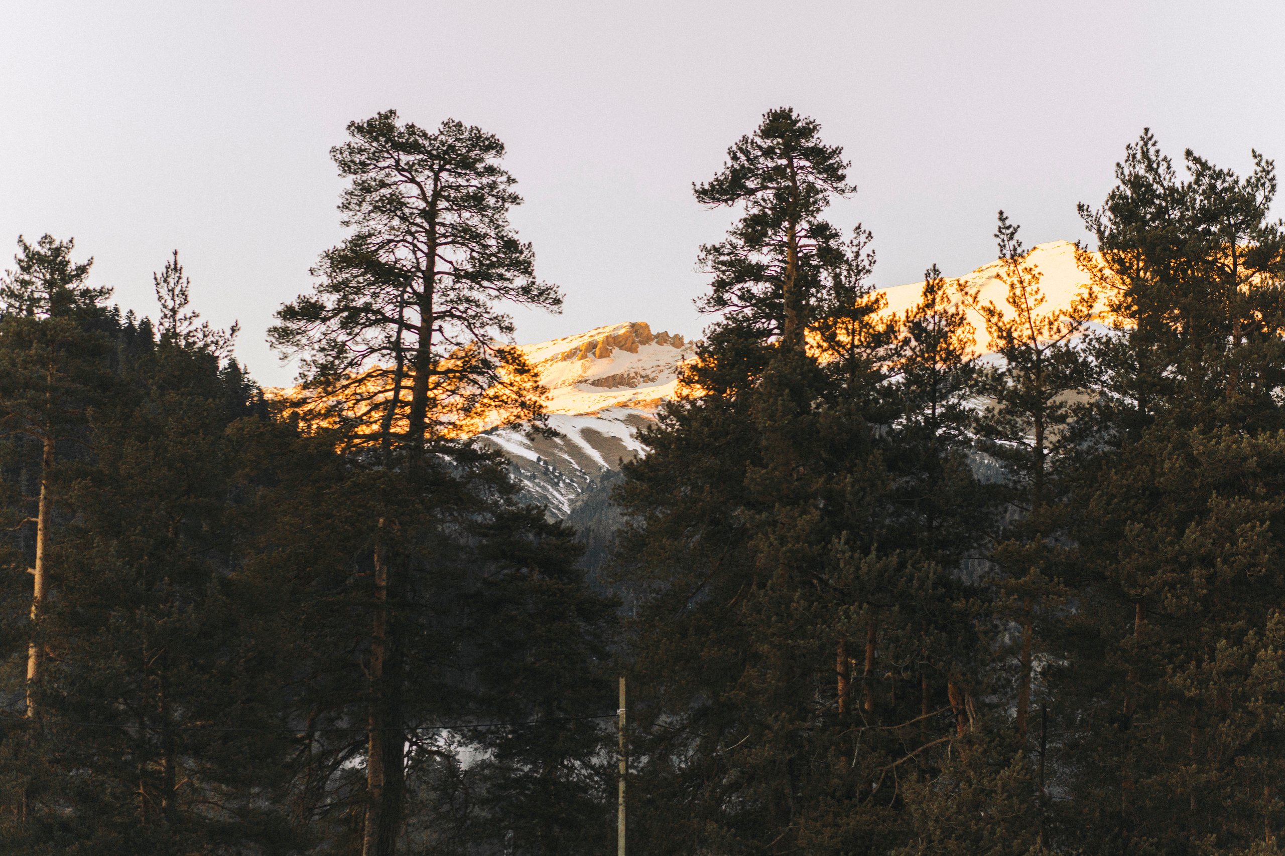 ПОЦЕЛУЙ ДЕКАБРЯ. Фотограф Настя Конник | Пятигорск | Эльбрус | Домбай | Архыз