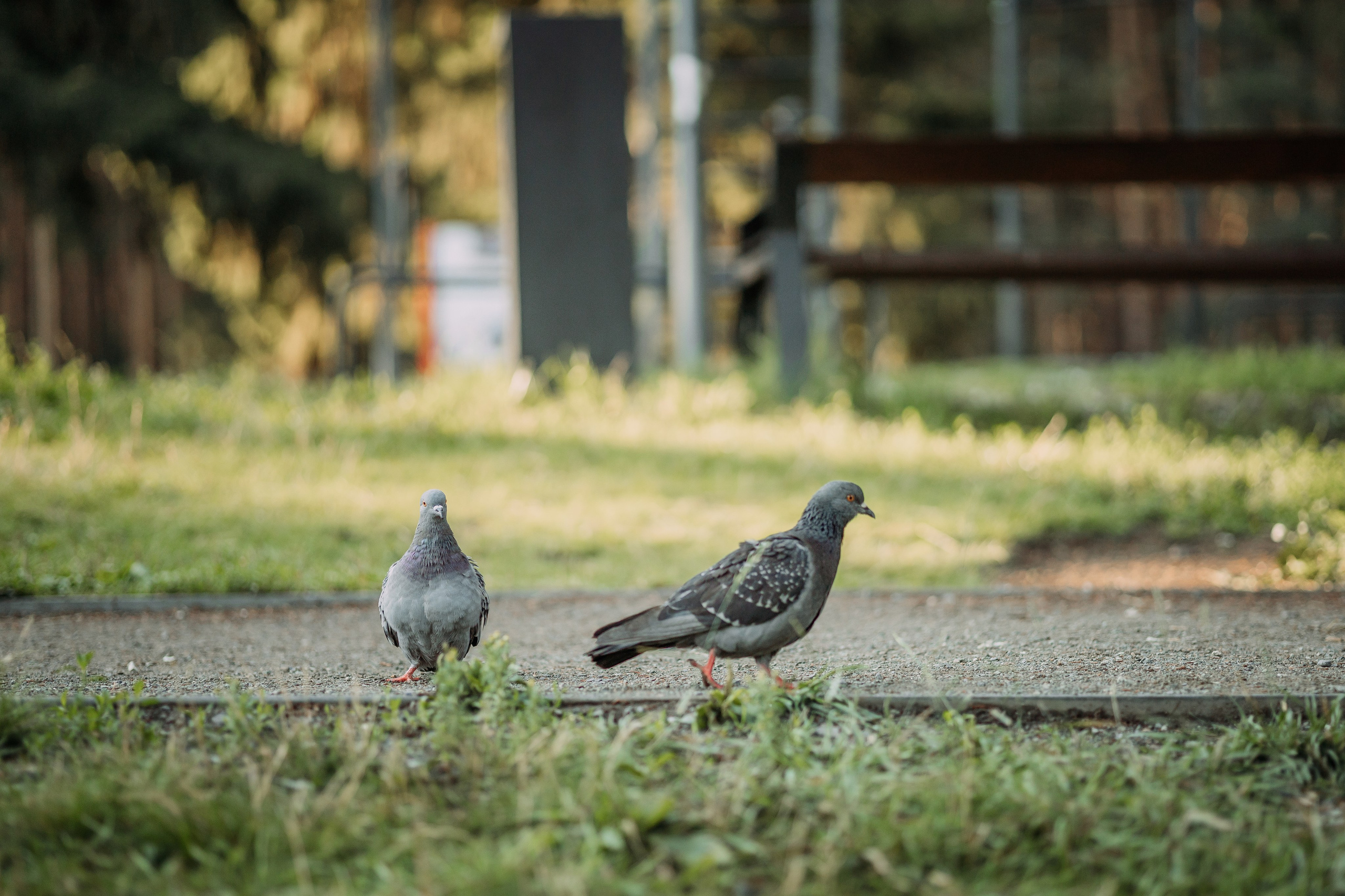 Фотопрогулка. Анна и Маришка. Фотограф Яна Матвеева в Ижевске