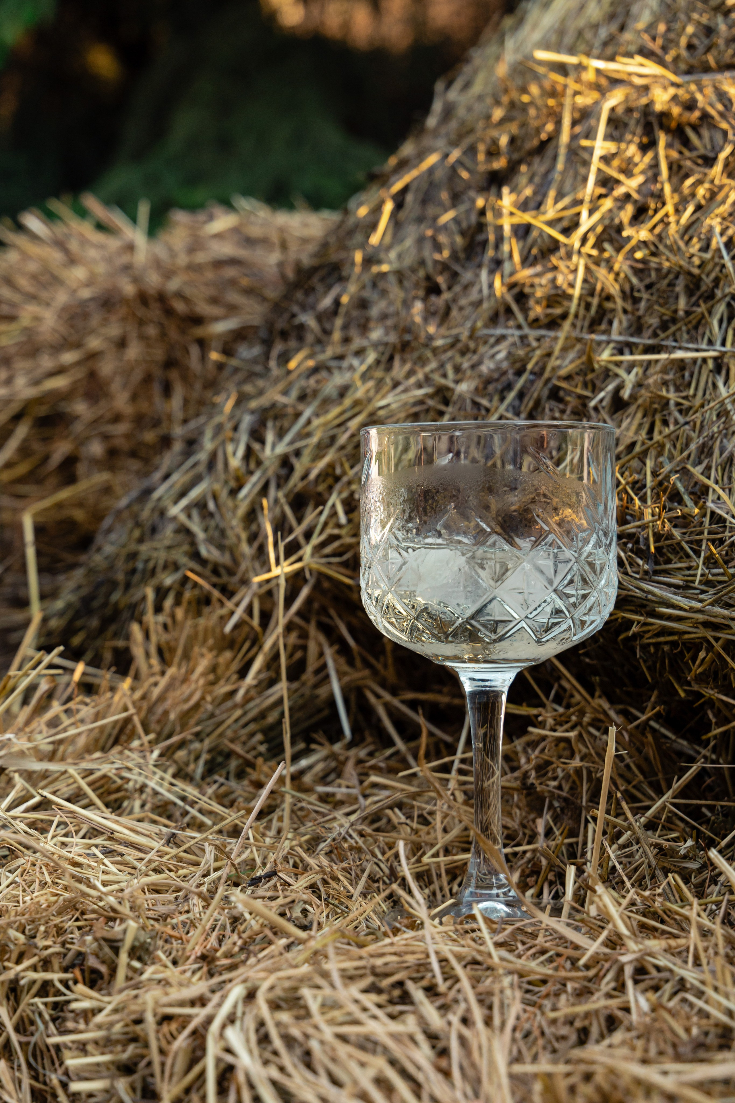 День рождения Юли Ворониной