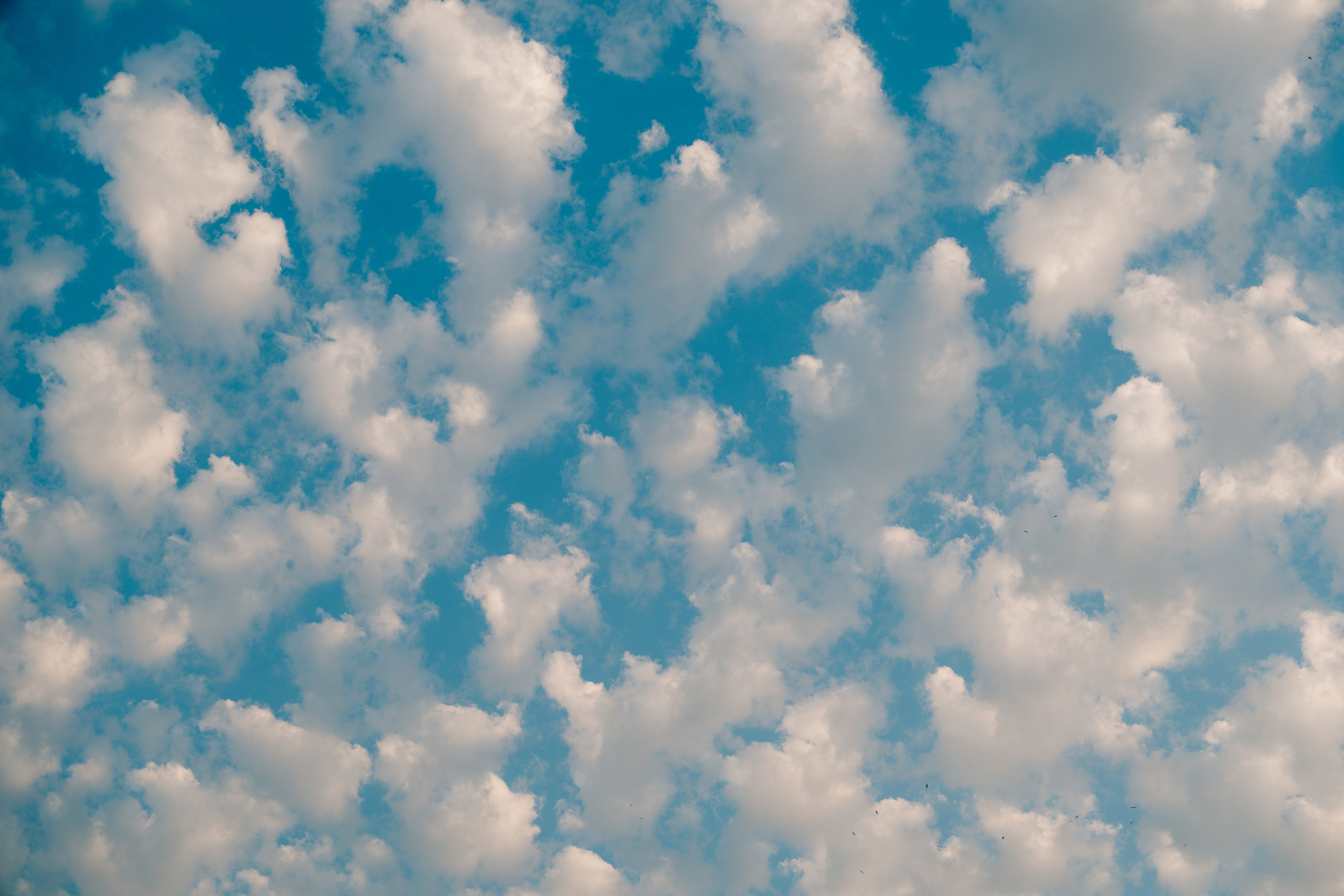 Юлия. Мария Кобзева, фотограф в Ялте, Крым