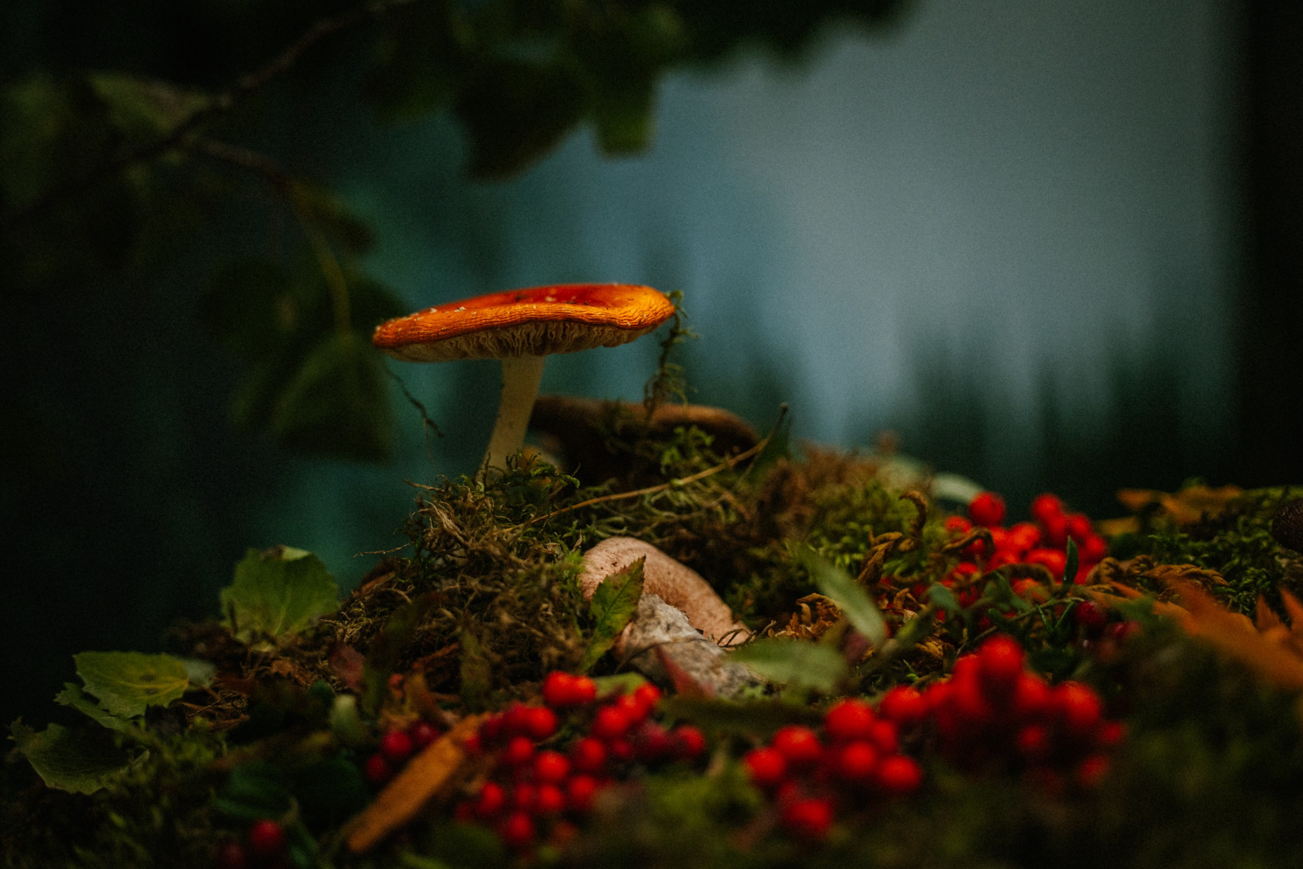 Репортаж. Фотограф Ханты-Мансийск Тимофей Чеботин