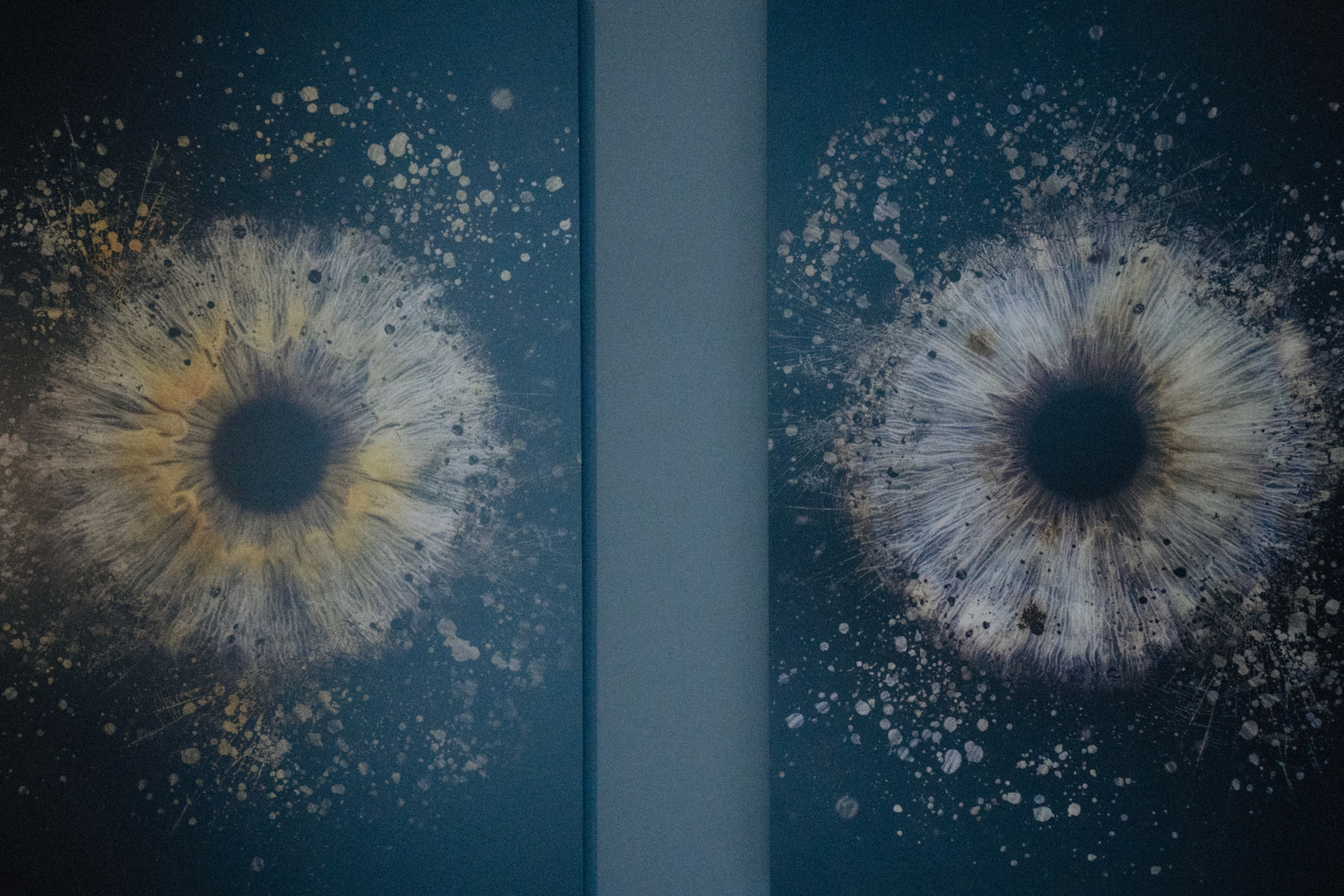 Вжух и уже годик. Фотограф Москва Селюкова Юлия