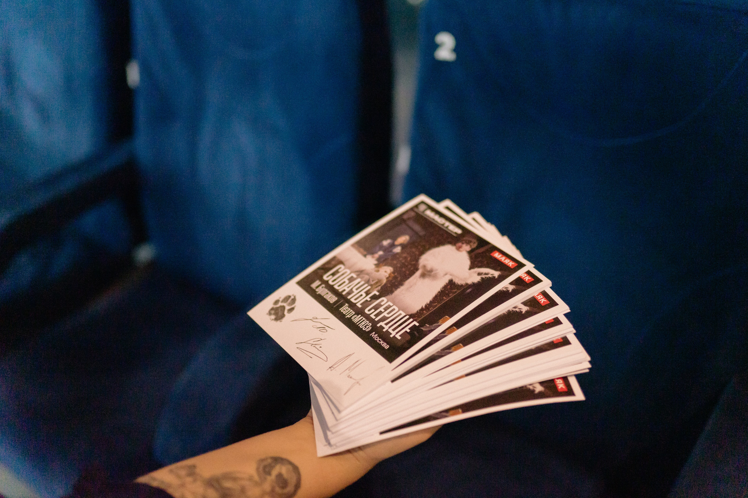 Собачье сердце: премьера в Кино. Портретный арт и репортажный фотограф в Нячанге Ульяхина Полина