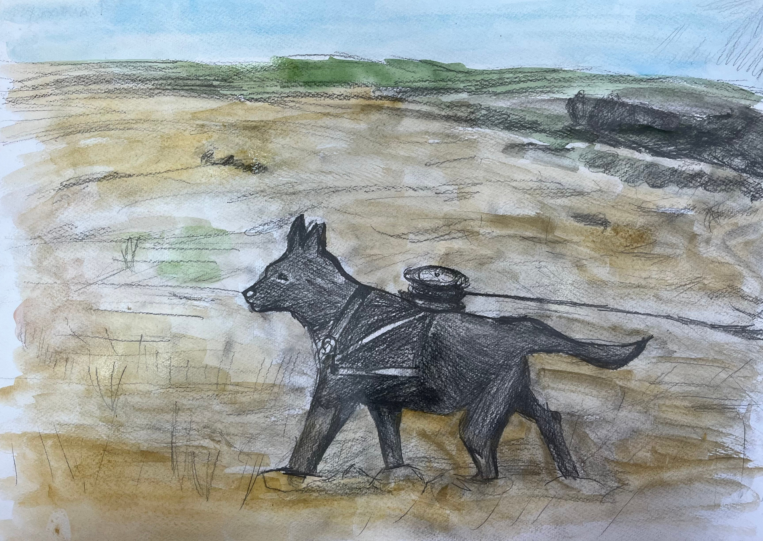 Акция рисунков «Собаки-герои Великой Отечественной войны». НРОО КЦ "Собаковод"