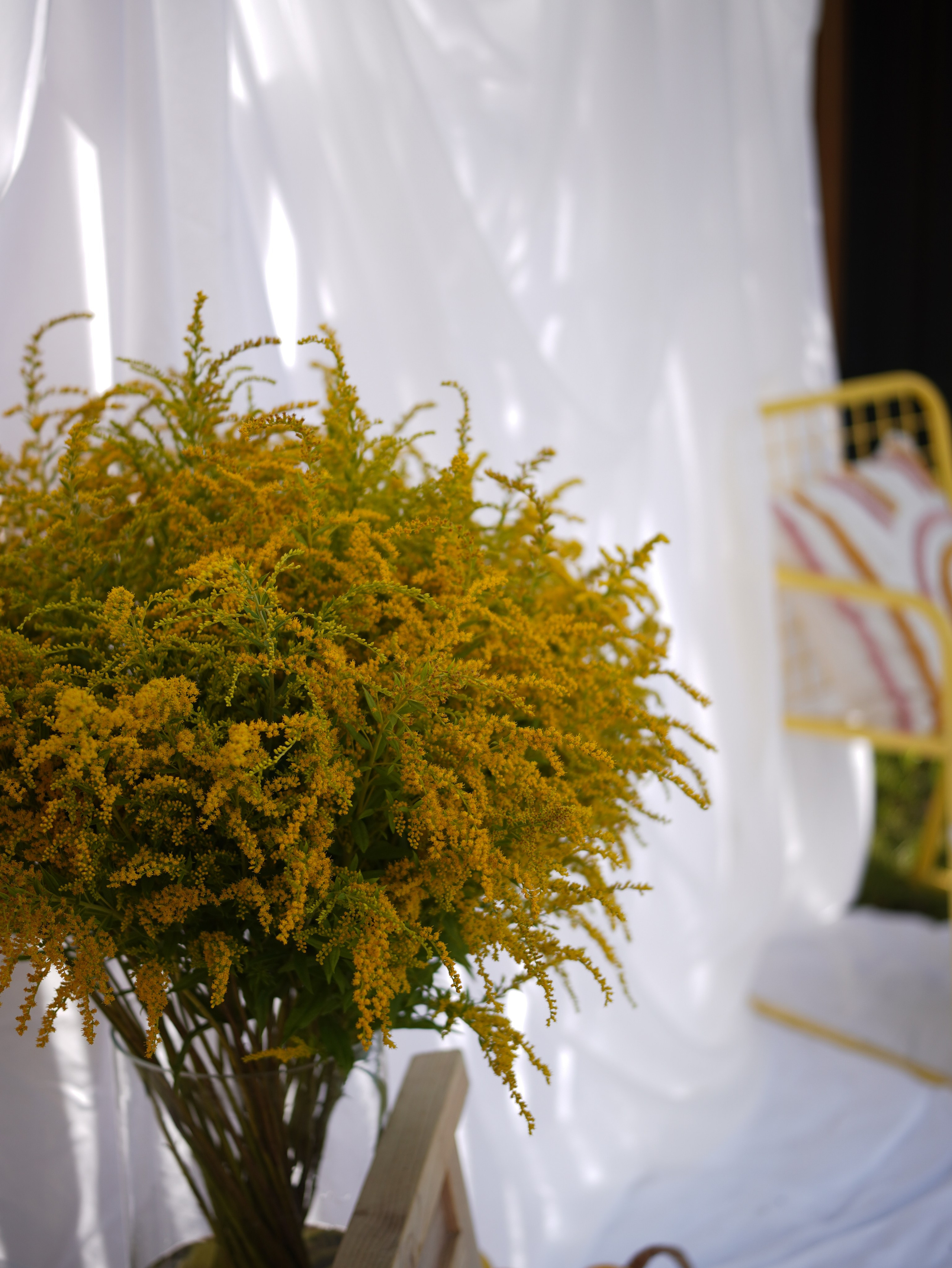 Мероприятия. Главная