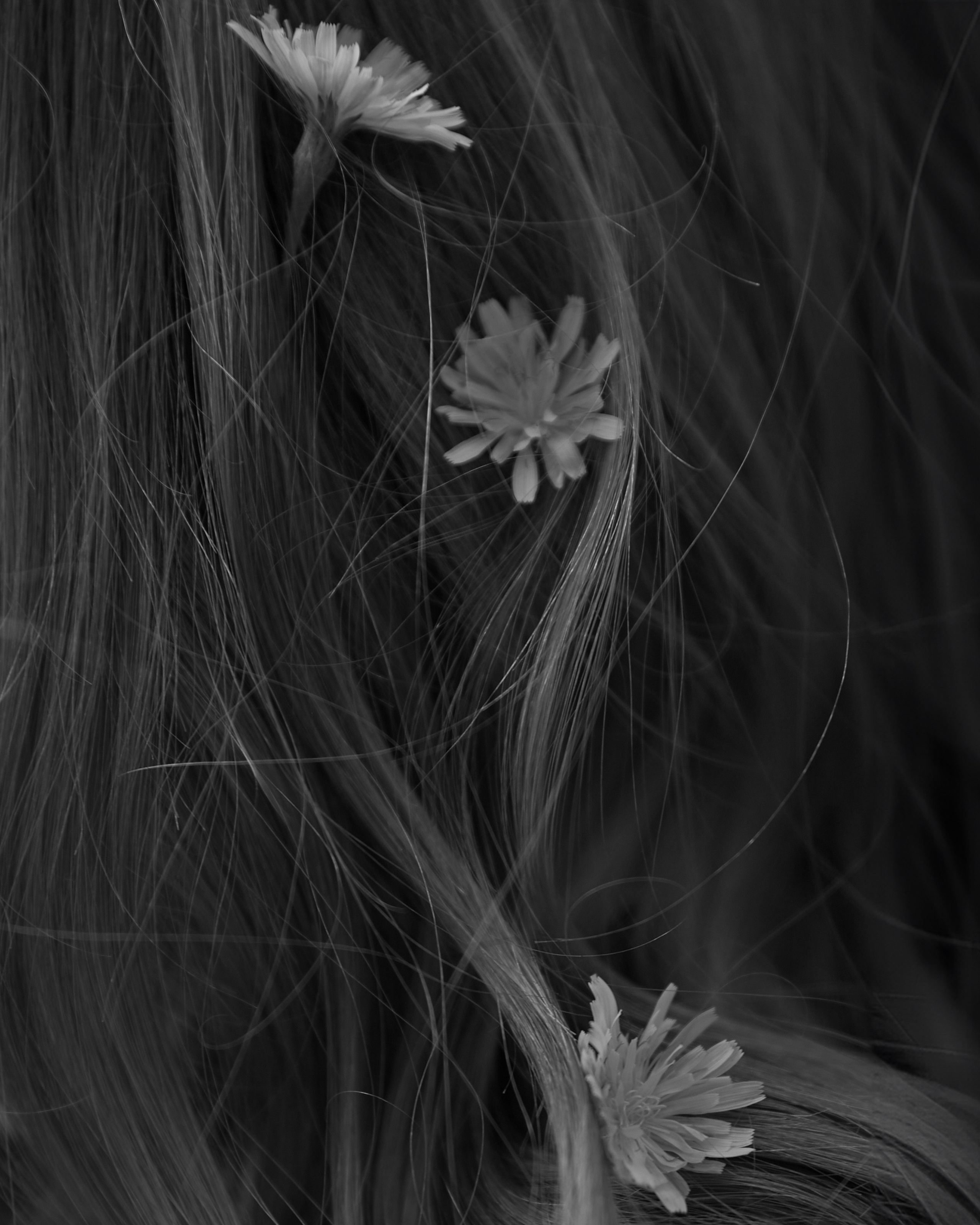 101 причина почему я люблю тебя. Обо мне