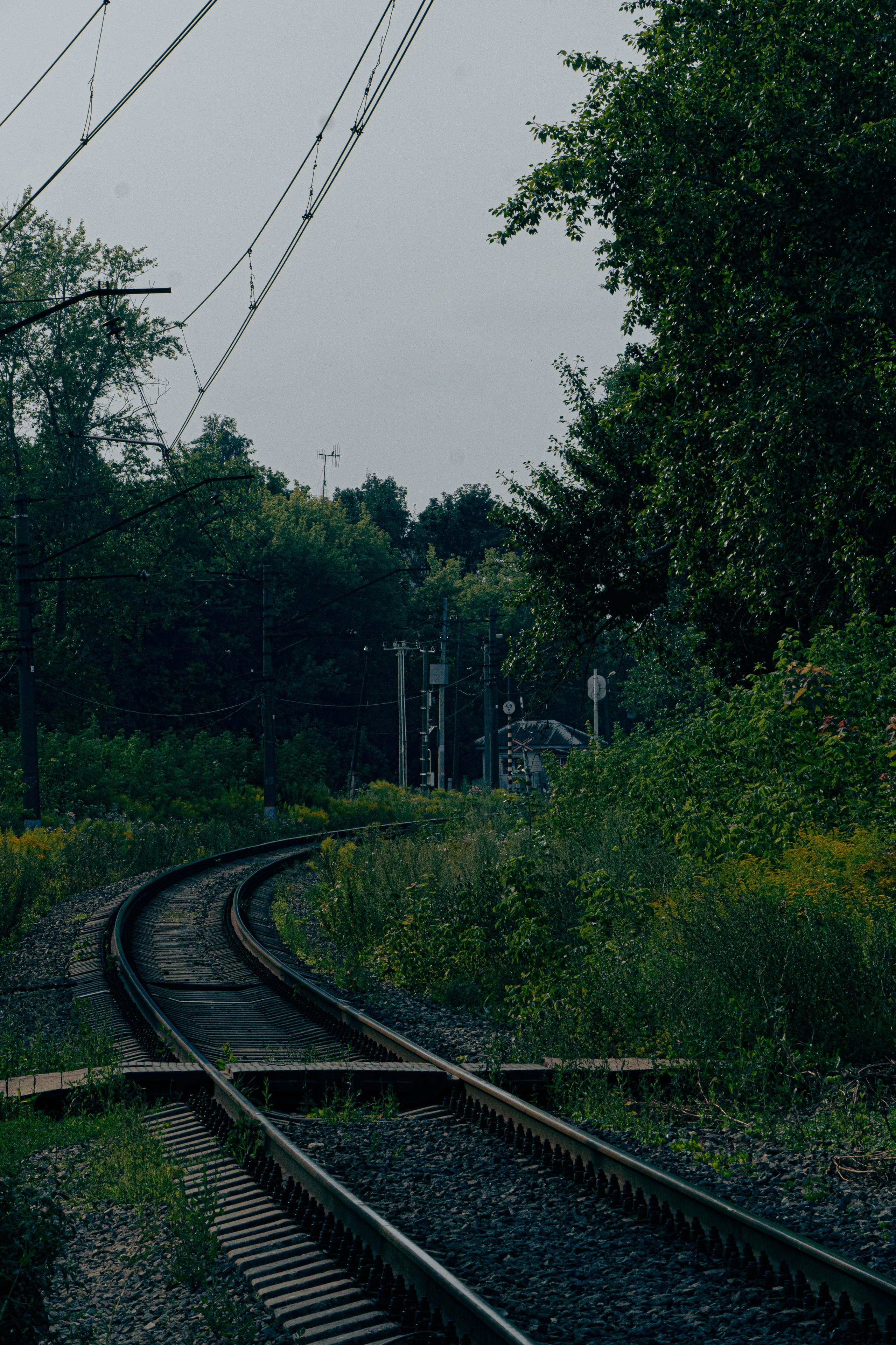 Архитектура и природа. Главная