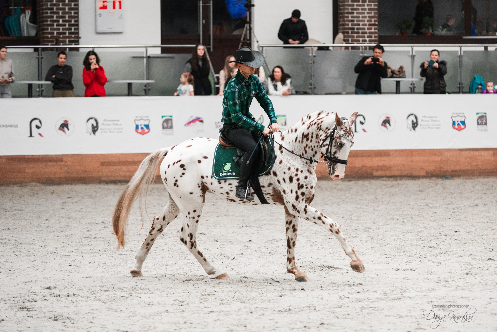 8-я международная выставка Конная Россия. Конный фотограф Куракина Дарья • Фотосессии с лошадьми