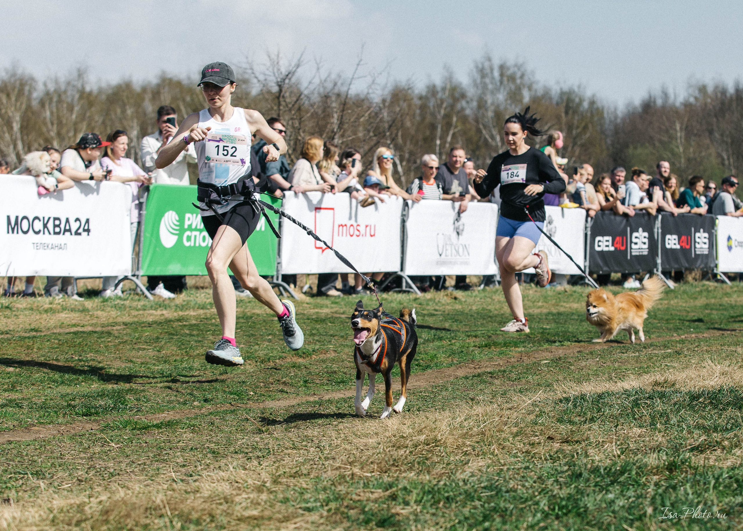 Кросс «Быстрый пёс» 2025. Репортажный фотограф в Москве