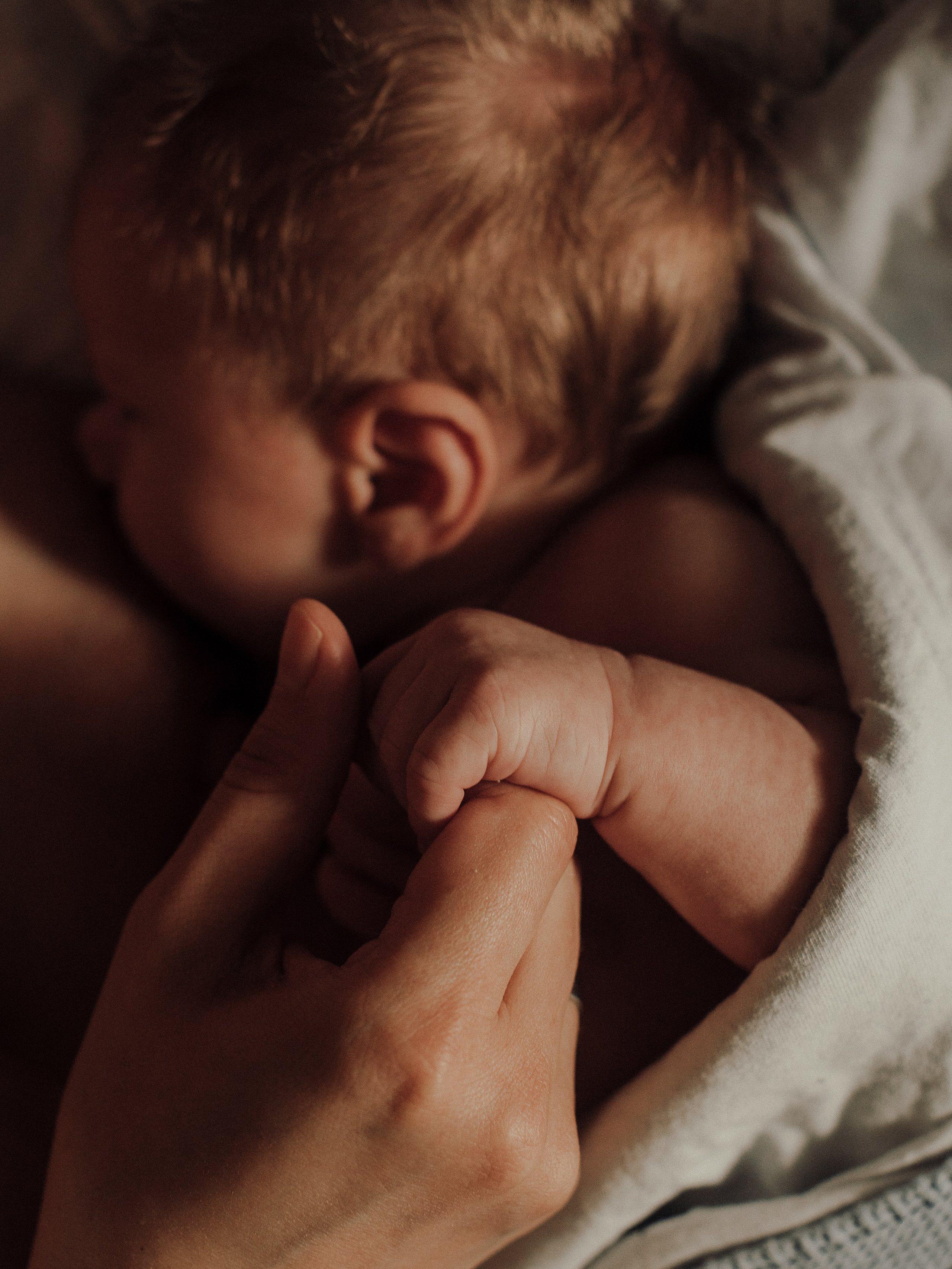 Домашняя фотоистория. Фотограф Любовь Подосенова Липецк|Воронеж