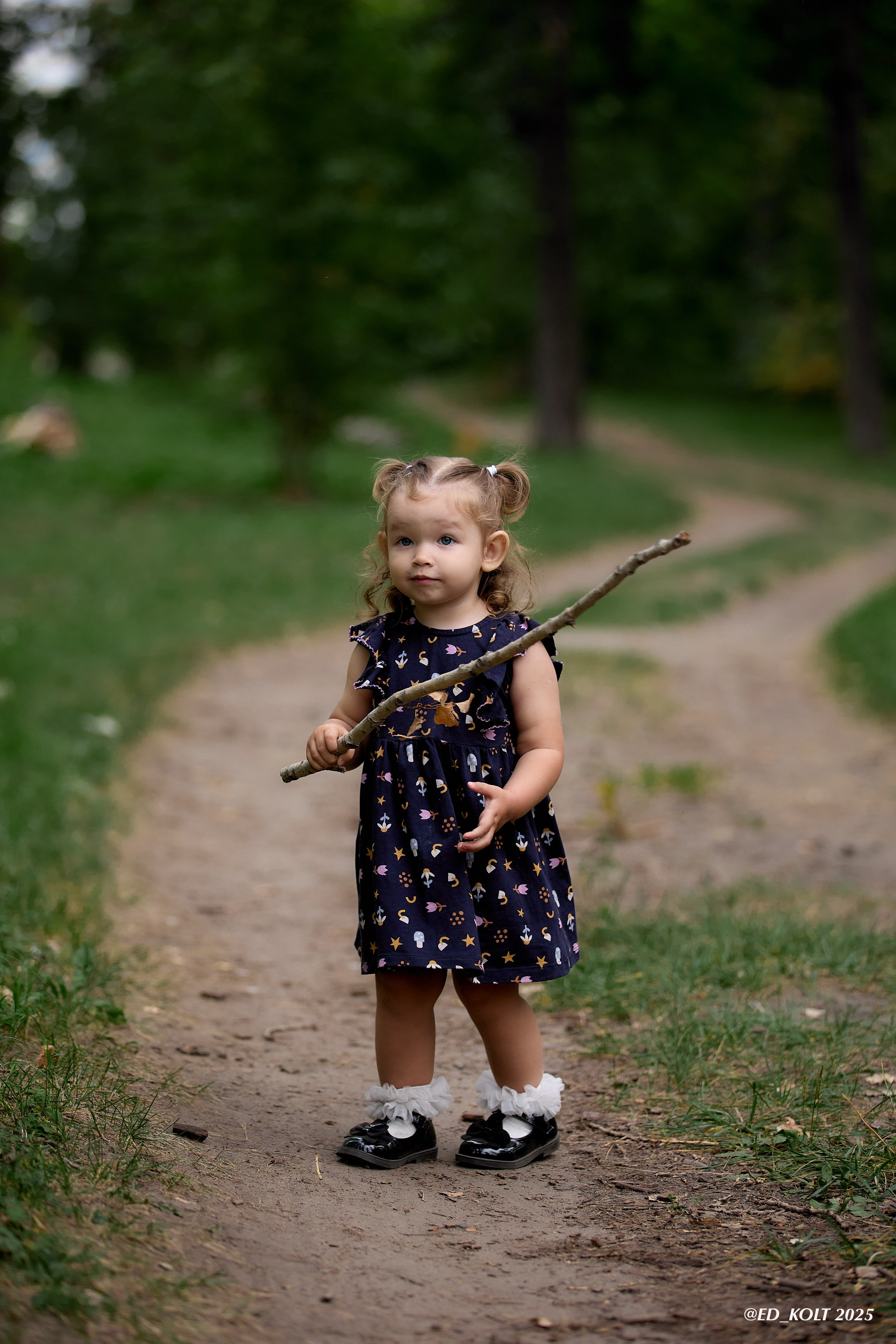 Сказочная тропинка. ФОТОГРАФ ЭДУАРД КОЛТУНОВСКИЙ
