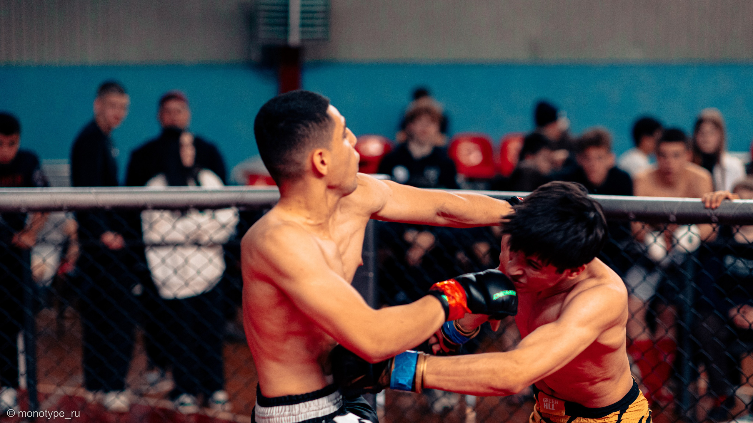 MMA. Бойцовский турнир