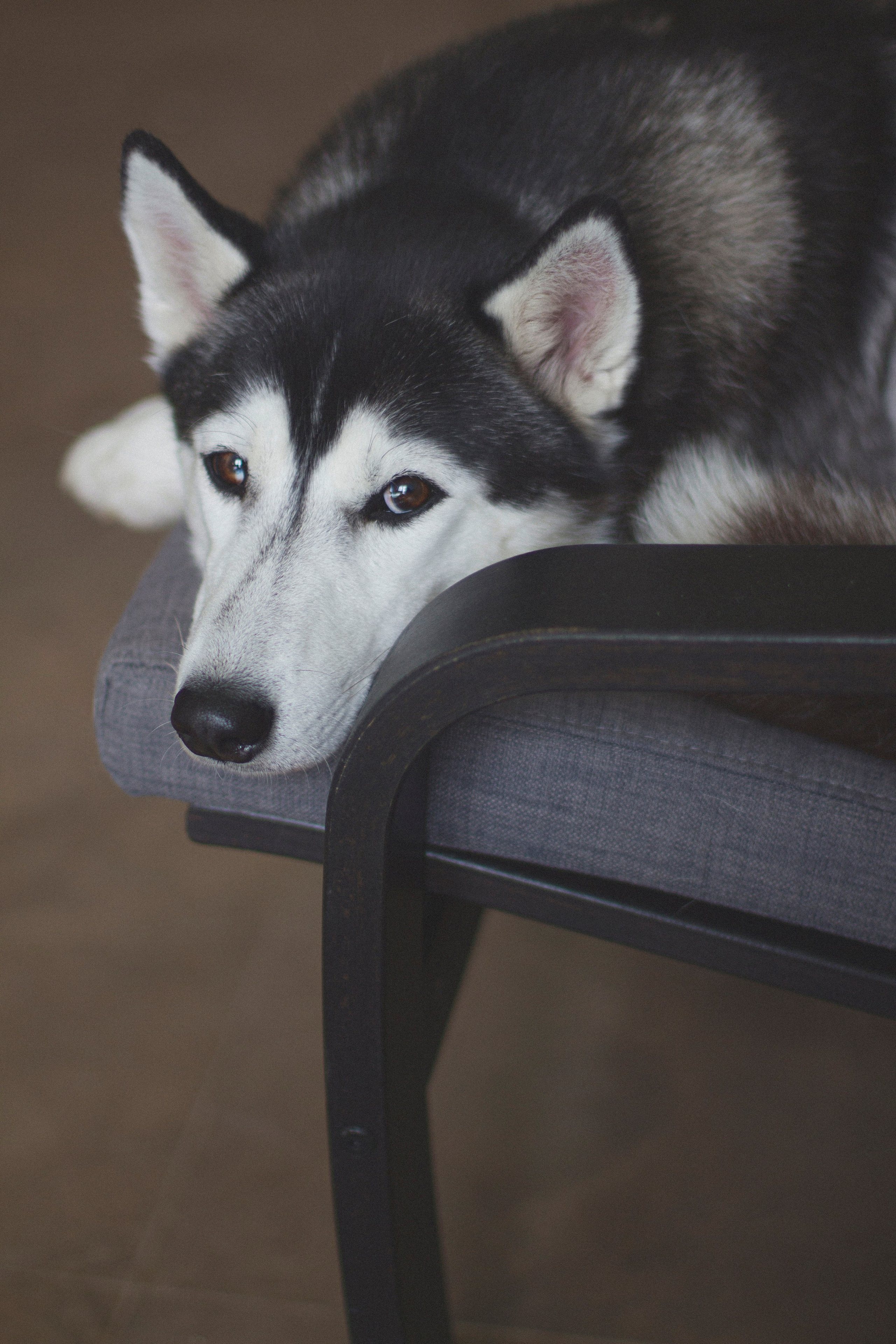 Марта. Фотограф Адигамова Юлия в Петербурге