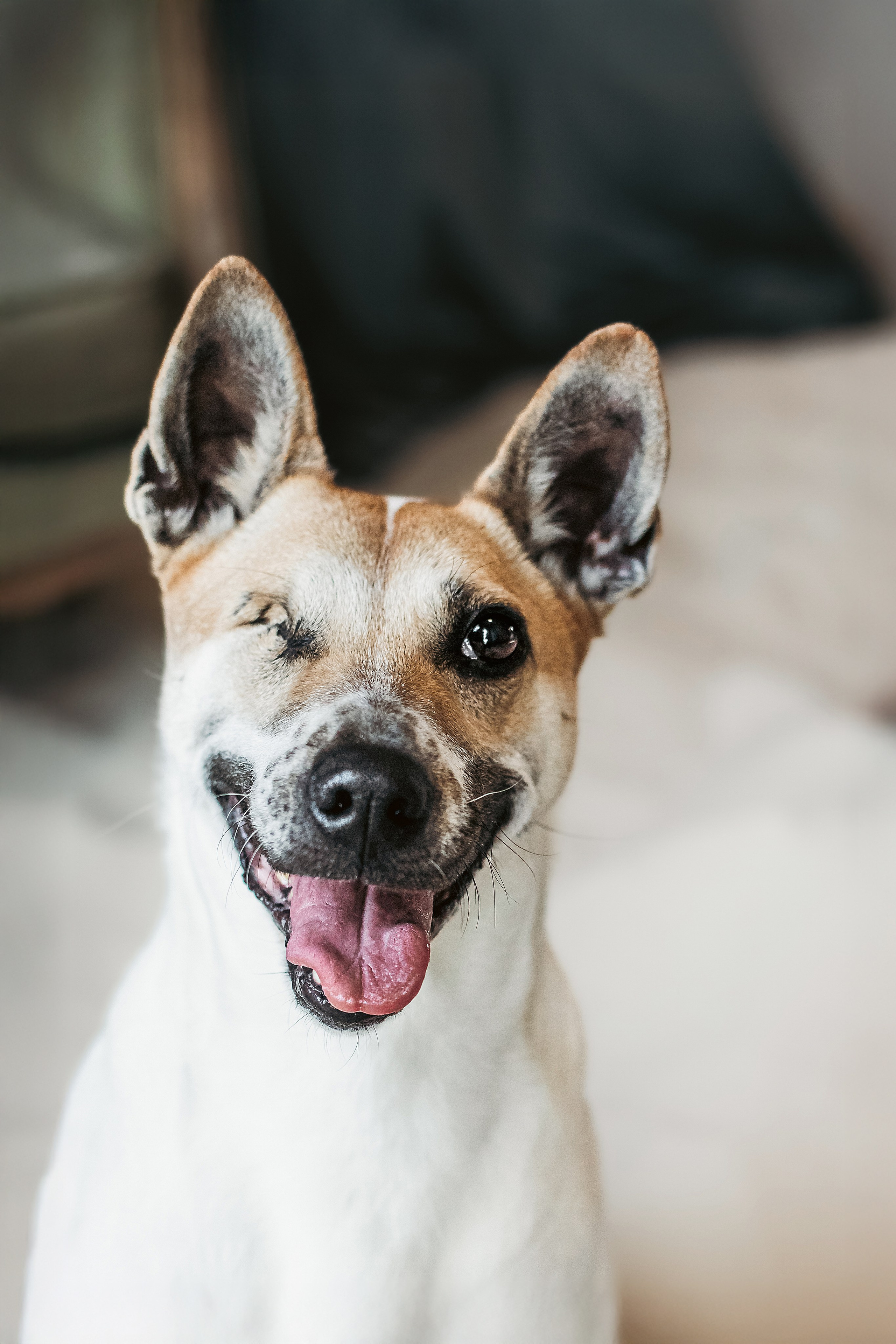 Полина и Альвильда. Фотограф-анималист Татьяна Степанова