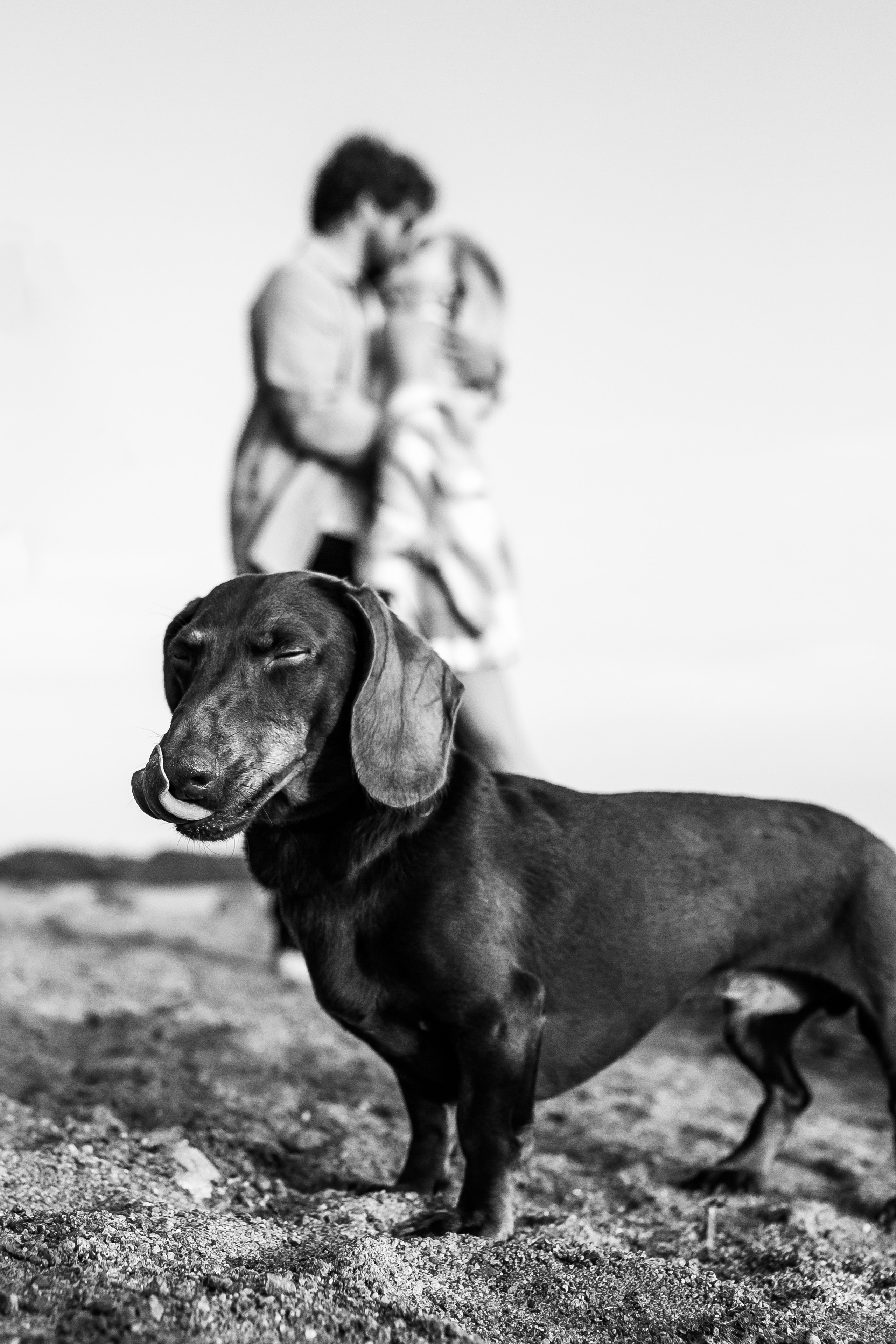 Миша и Даша