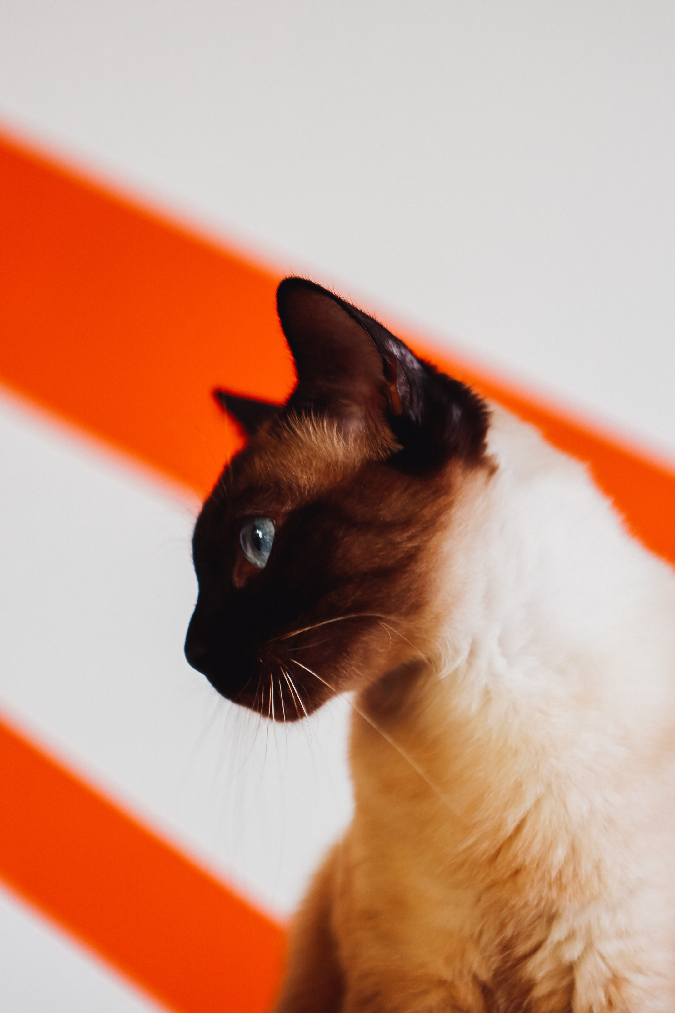 Яна, Женя, Даня и Даша. Семейный и контент фотограф в Мурманске