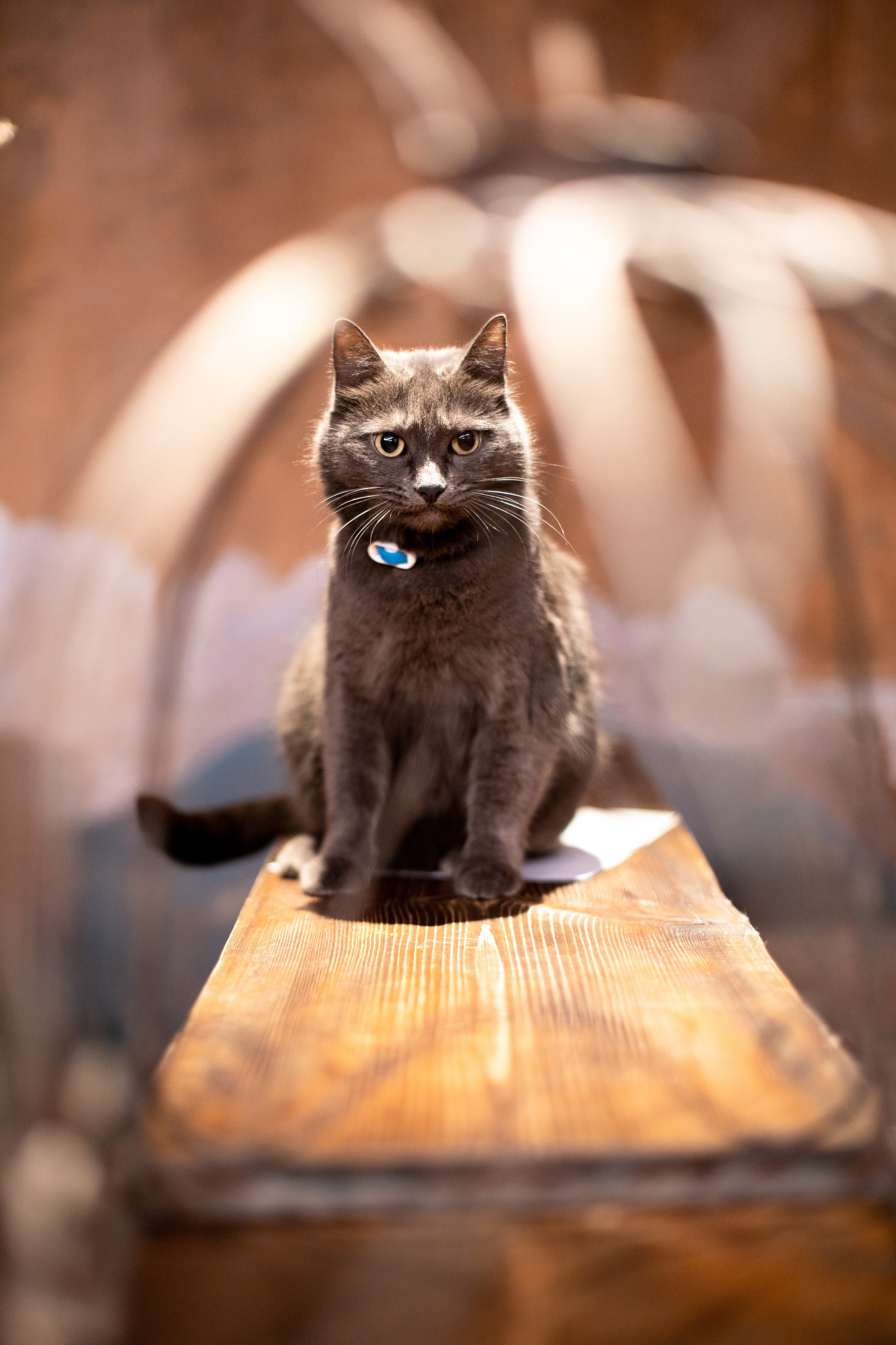 Петр Валентинович. SaGaFOTO.ru