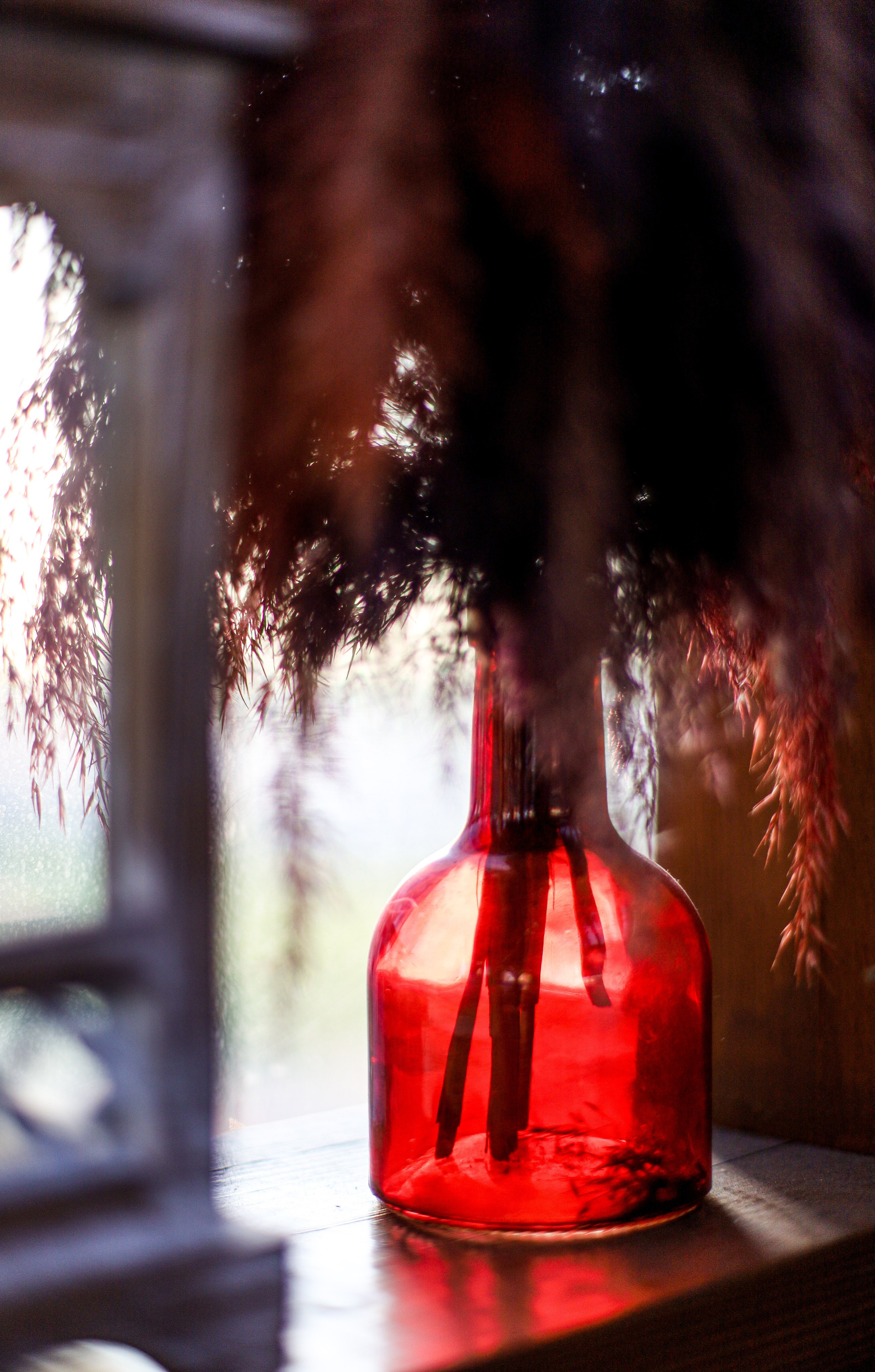 Вечер в Барбошко. Дима и Люба. SaGaFOTO.ru