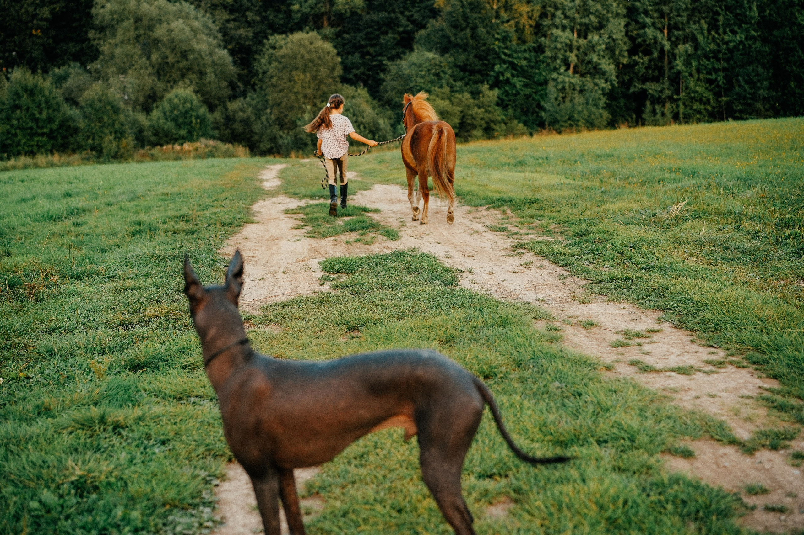 Маленькая хозяйка. Семейный фотограф Клубкова Мария. Поместье Клу