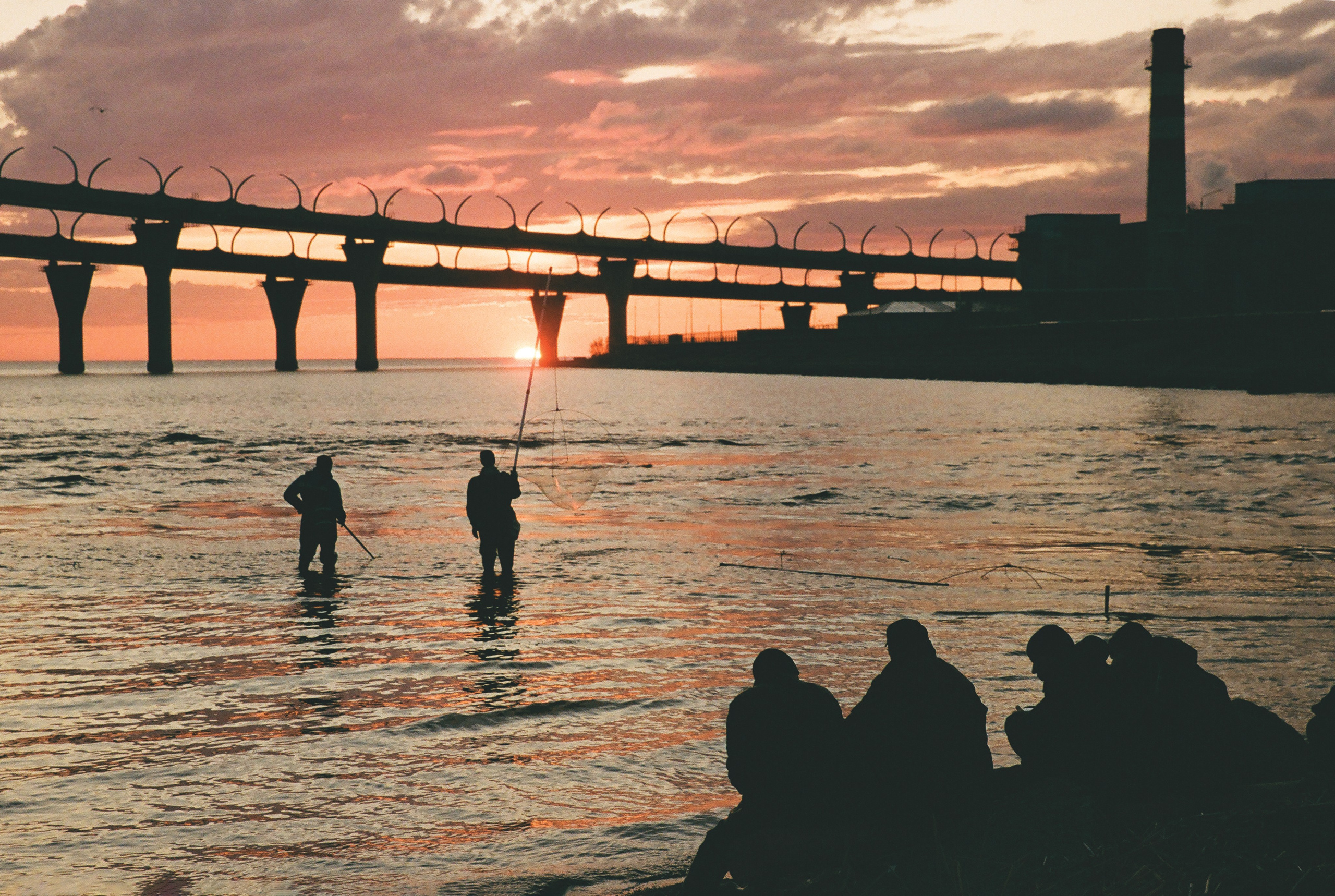 Фотографии цветные. Свадебный и семейный пленочный фотограф в Петербурге Истомина Ирина