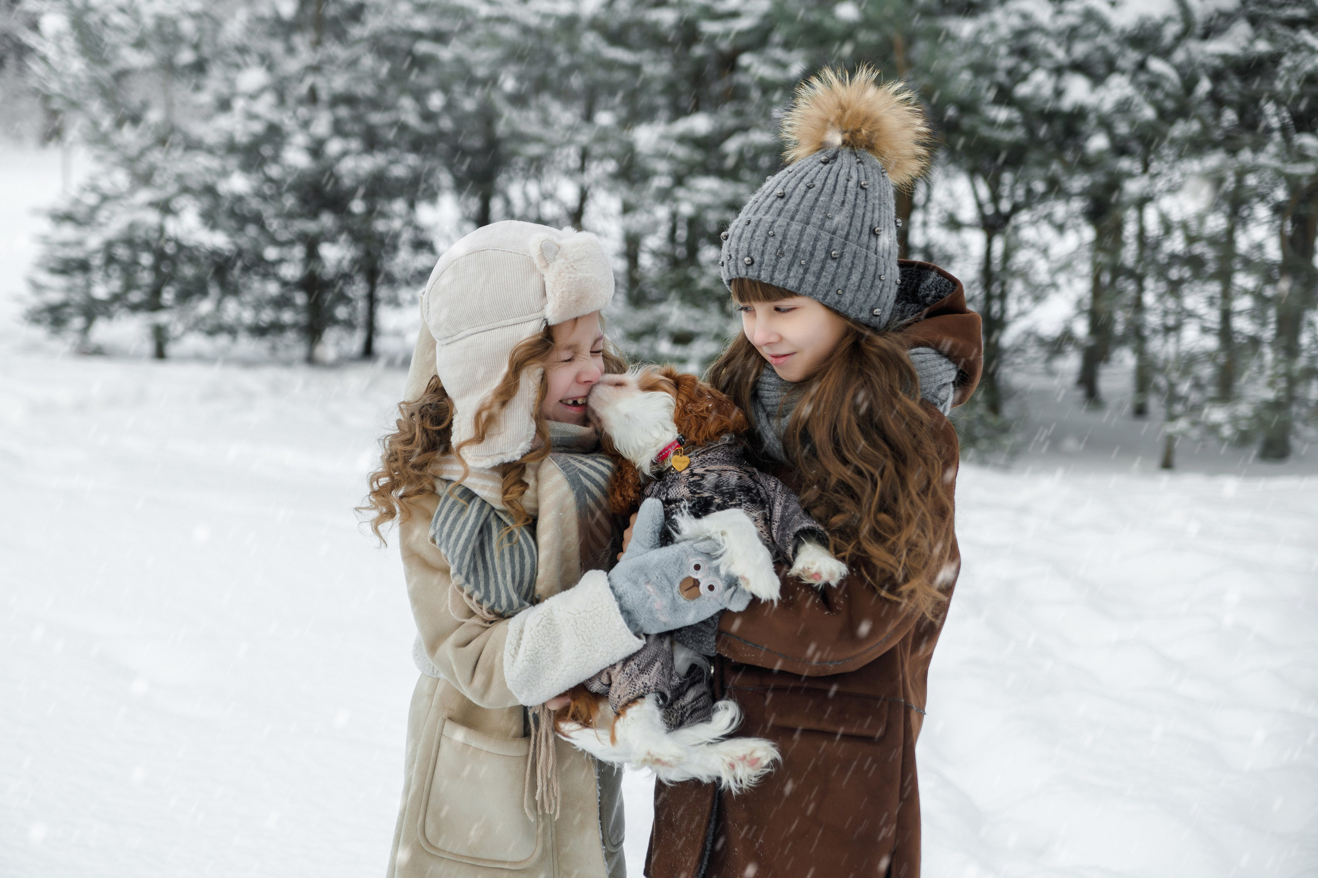 Фотопроект "Снежный"