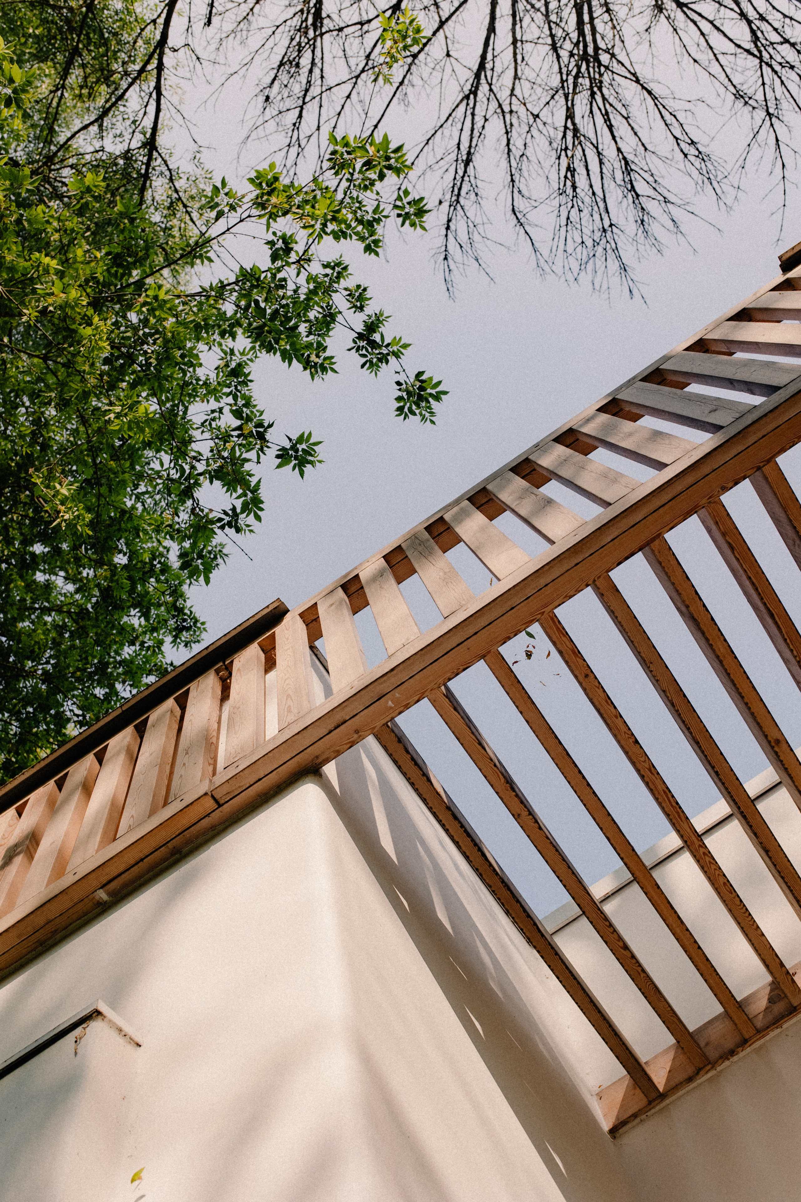 В&Д. Анастасия Попова — свадебный и репортажный фотограф | Воронеж, Павловск