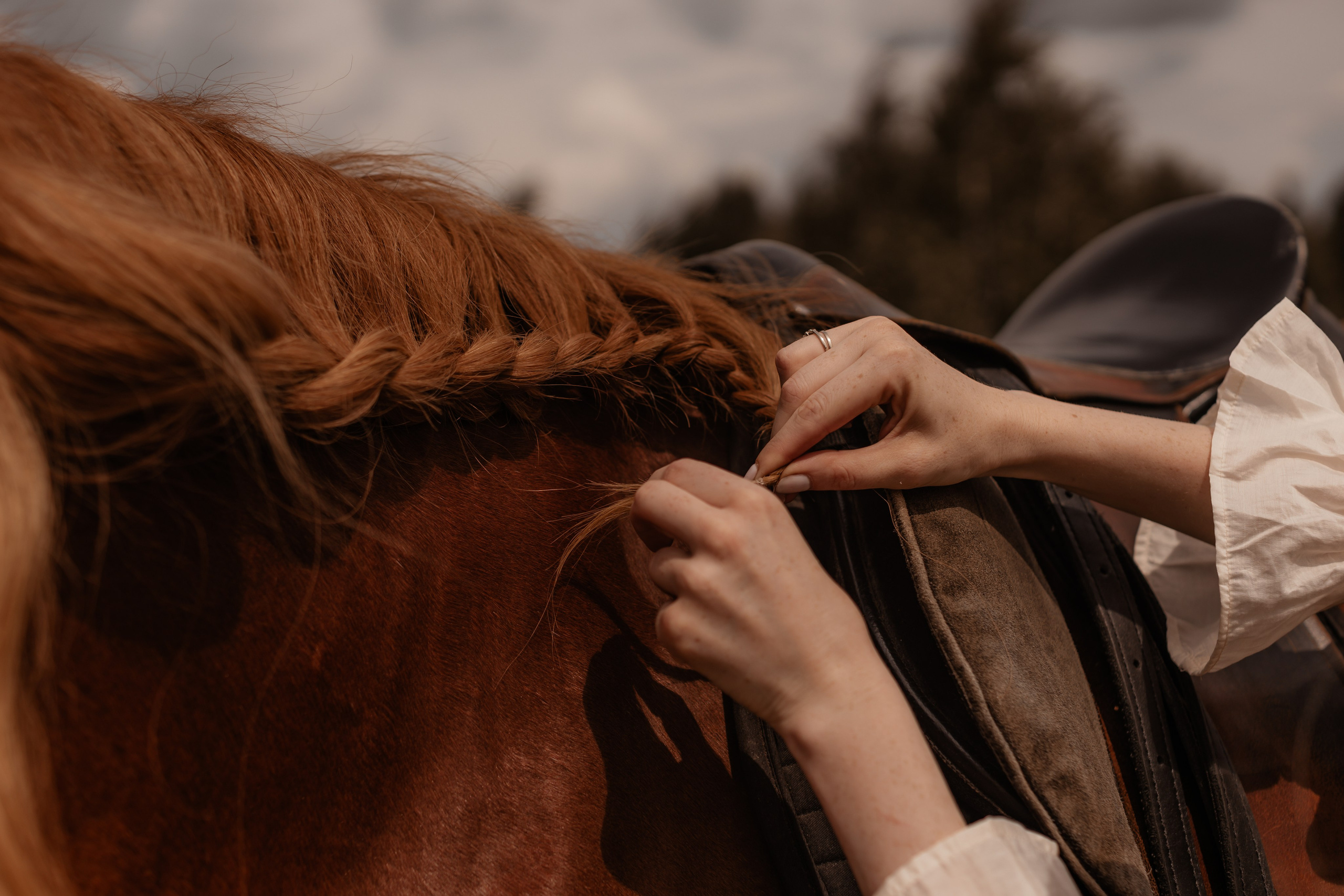 Кристина и Персик. Свадебный фотограф Челябинск