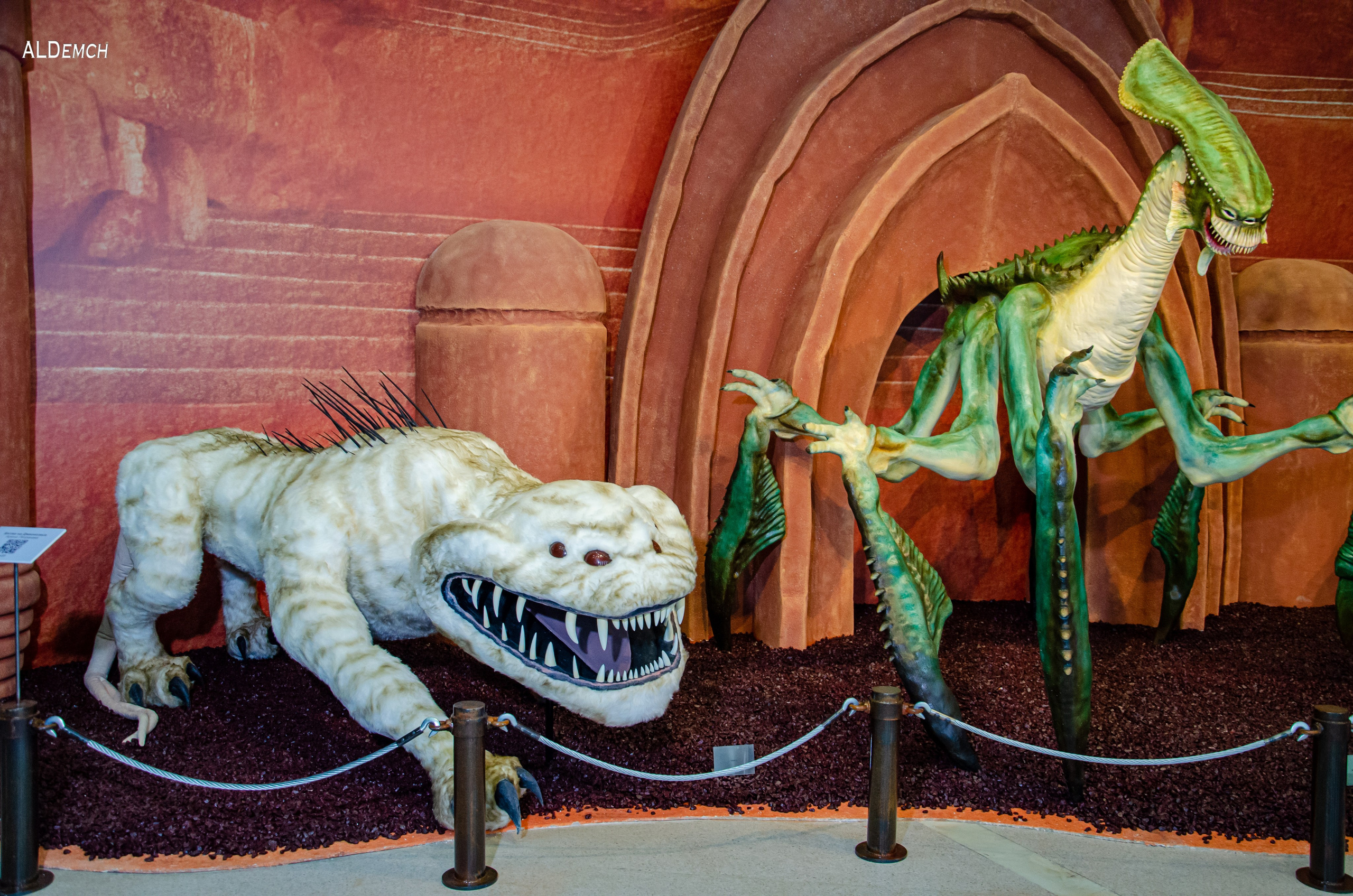 Фотосессия на ВДНХ косплей выставки по звёздным войнам