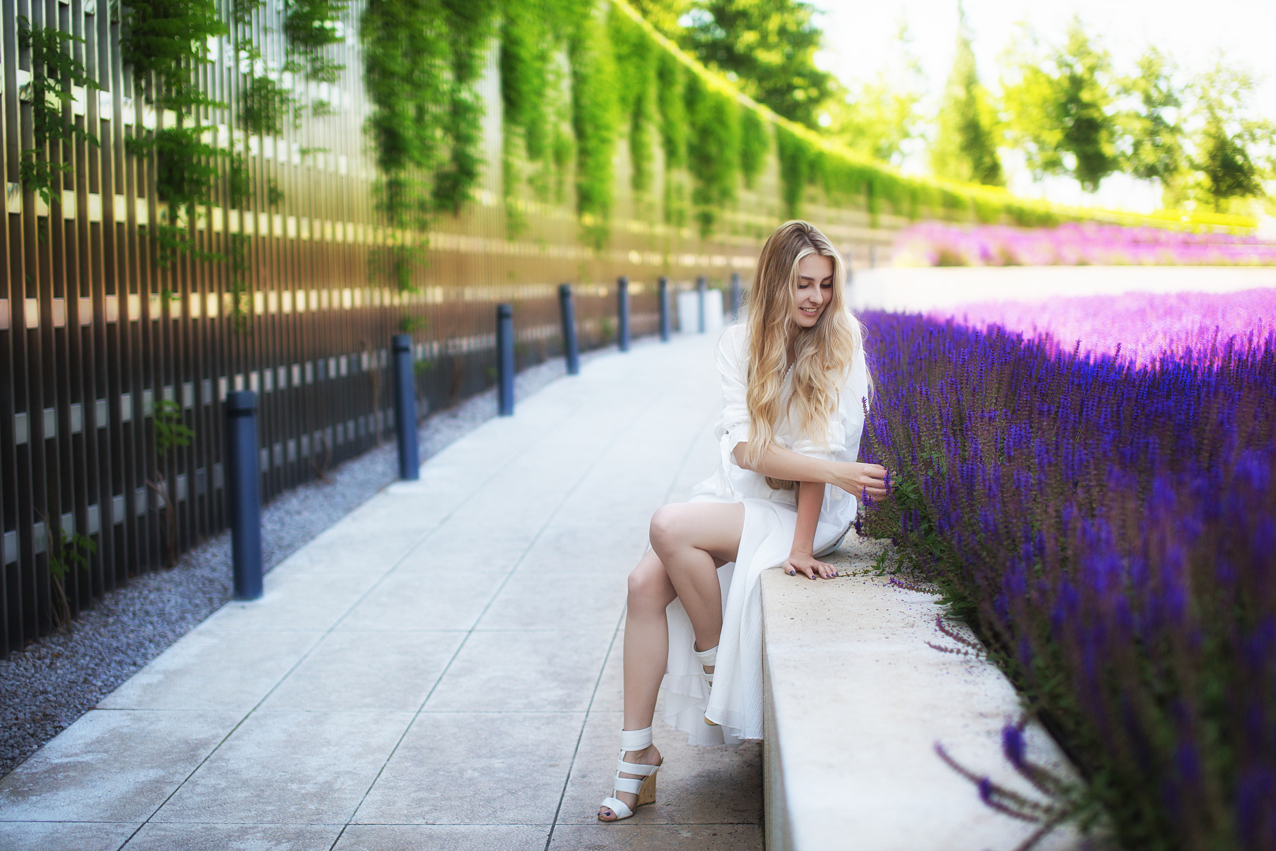 Сиреневое настроение. Свадебный и семейный фотограф/видеограф в Краснодаре Наталья Осинская