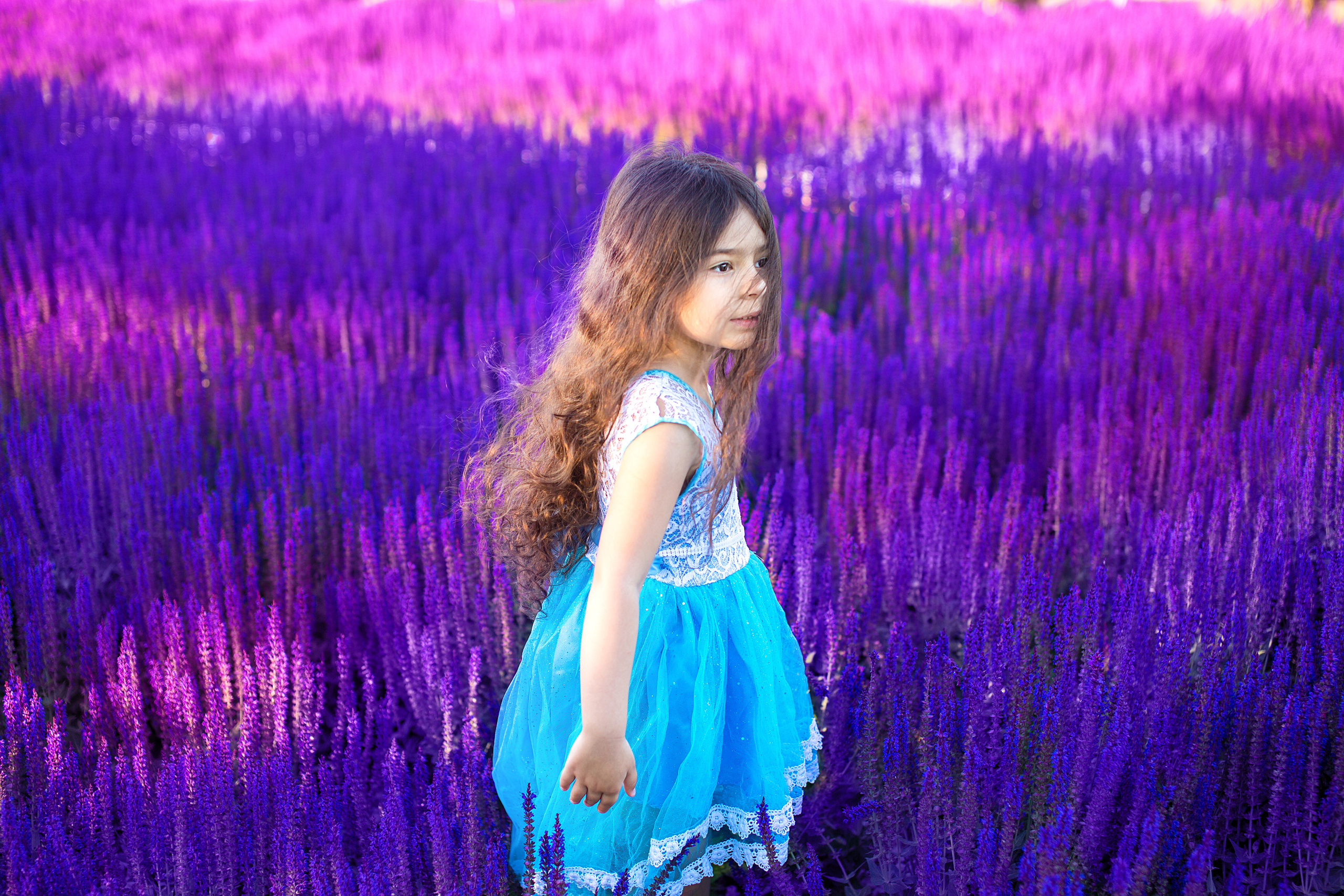 Сиреневое настроение. Свадебный и семейный фотограф/видеограф в Краснодаре Наталья Осинская