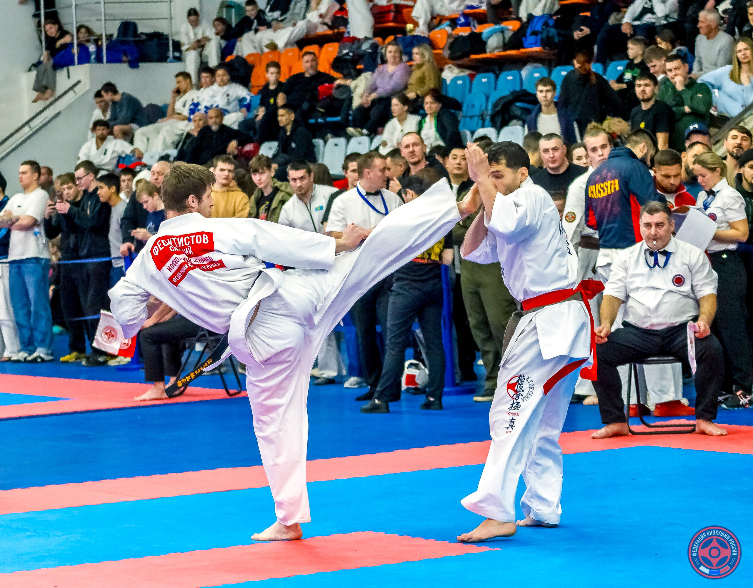 Международный турнир по киокушин «Открытый кубок Seiken». Репортажная съемка в Москве и области. Анималистика