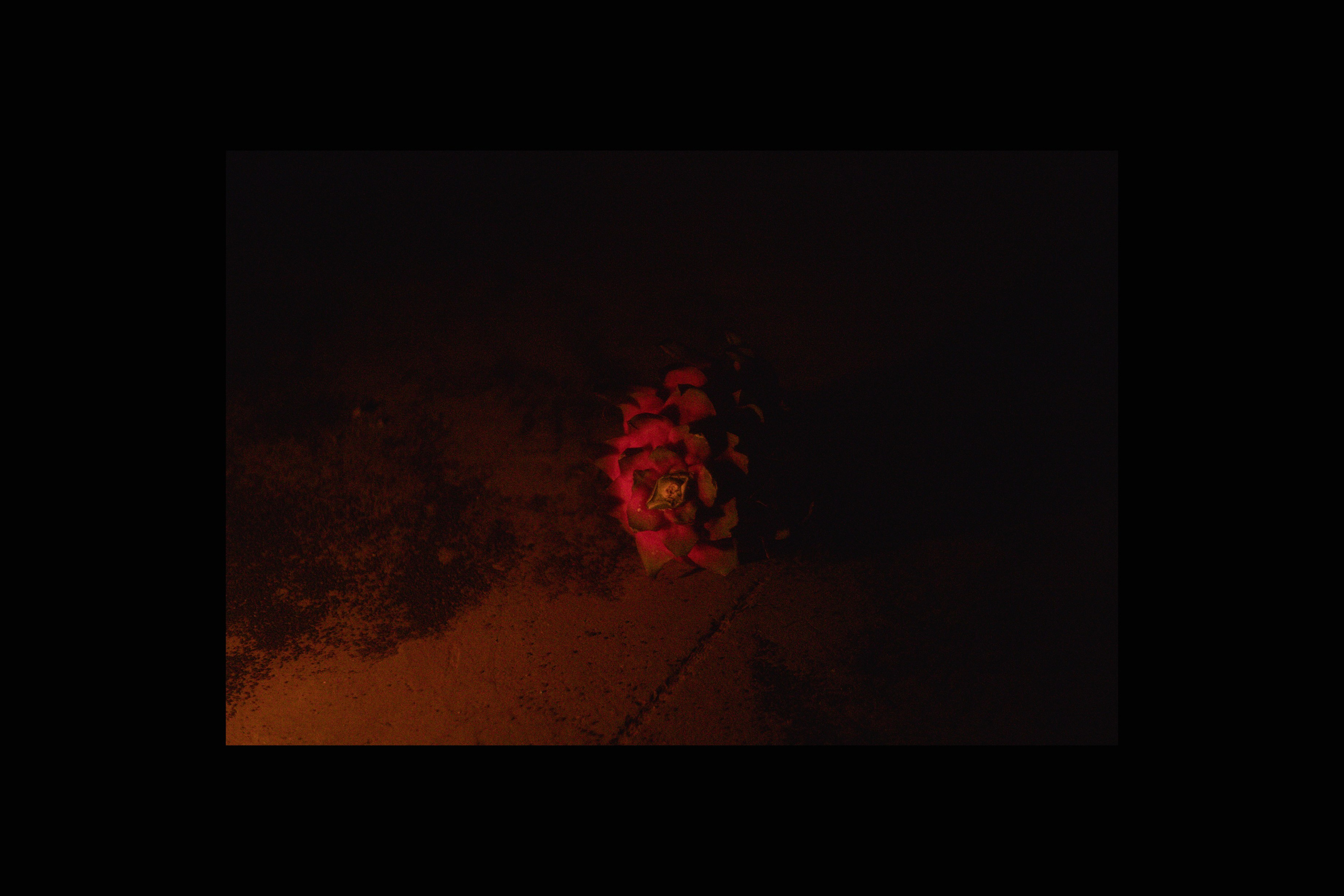 Вдохнуть небо. Сайт Фотографа MASHASOLAR