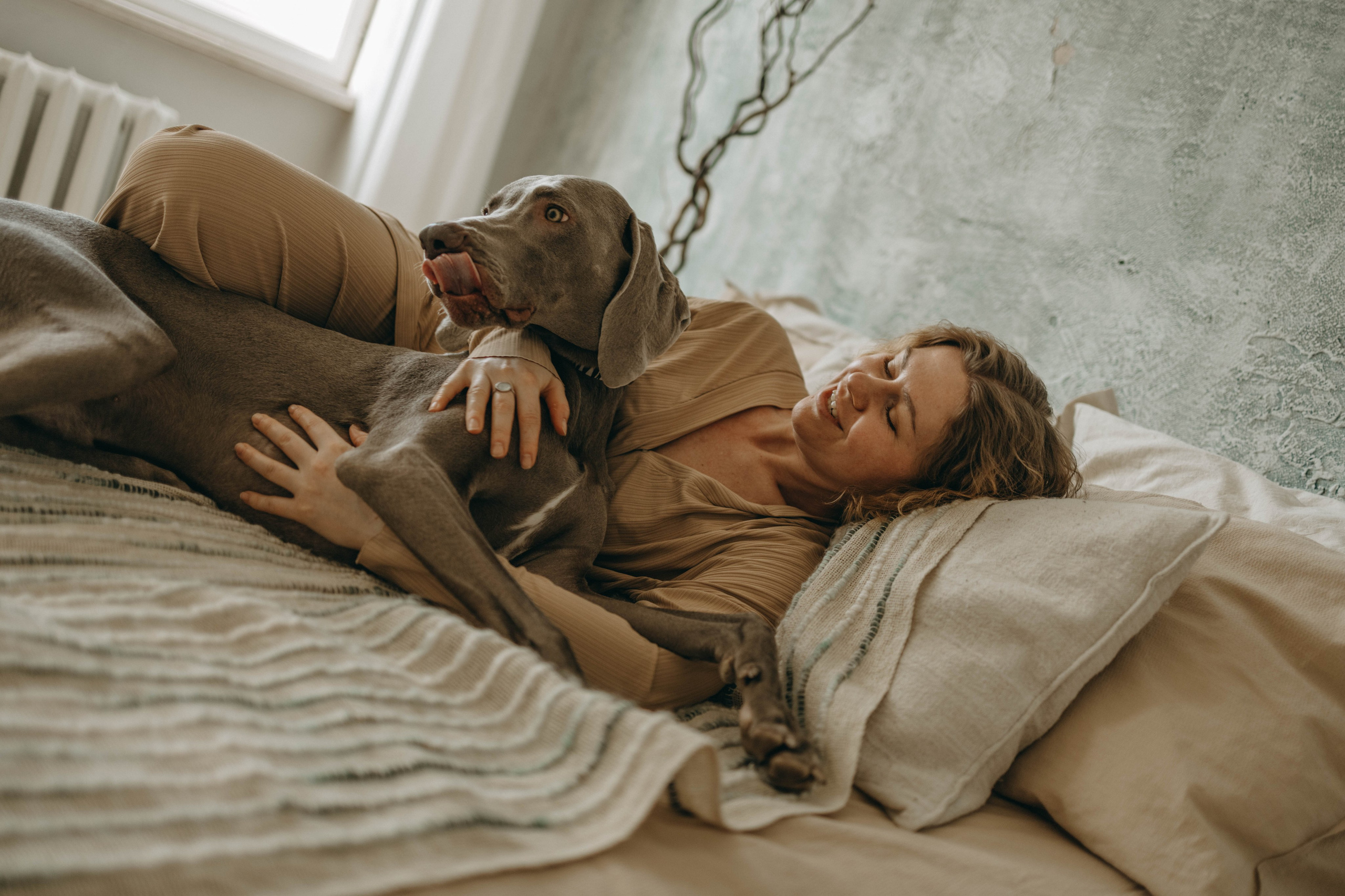 Фотосессия в студии с собакой. Фотограф-анималист в Екатеринбурге | Кристина