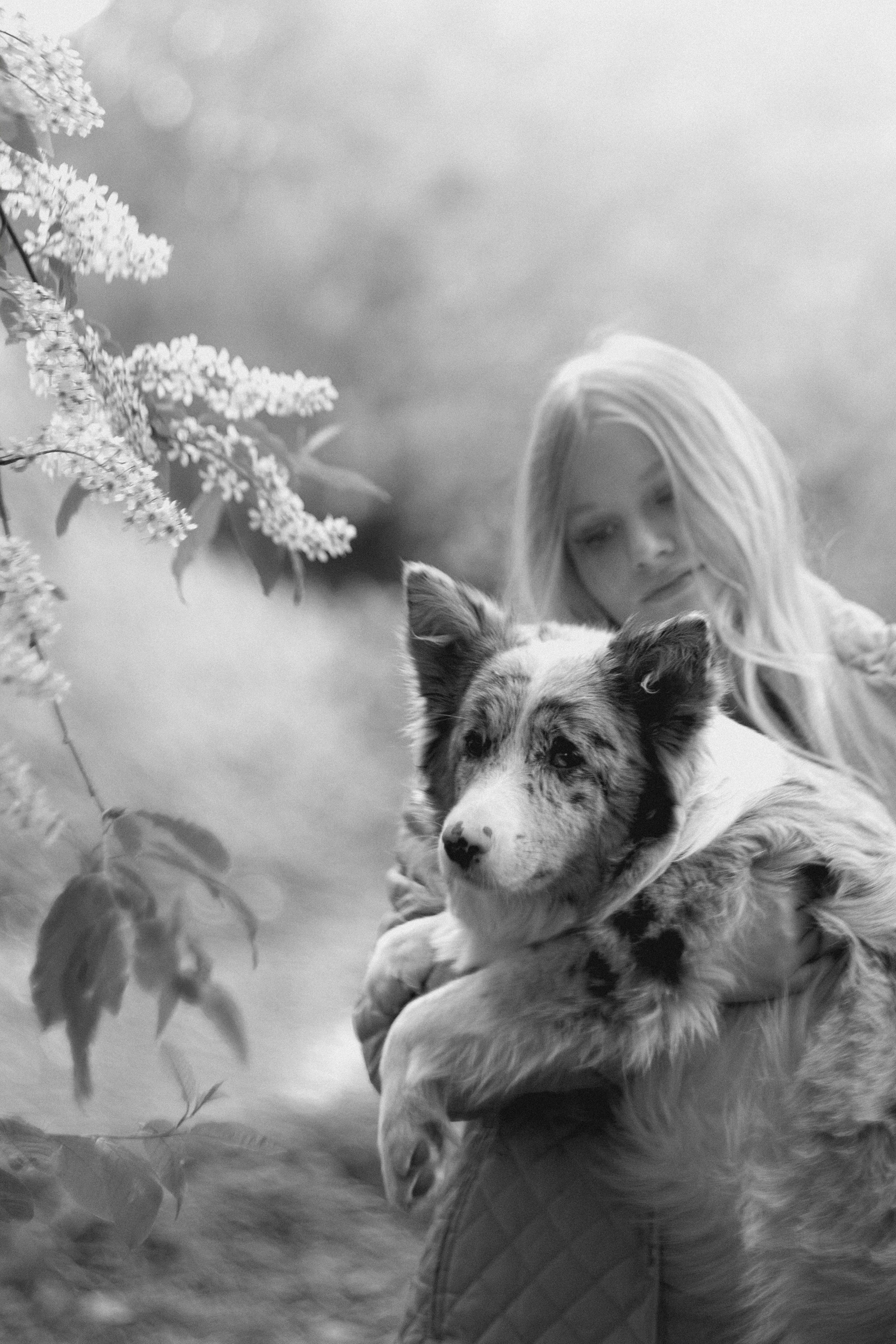 Света, Катрин и Умка. Фотограф анималист в Москве и Санкт-Петербурге Свиридова Анна