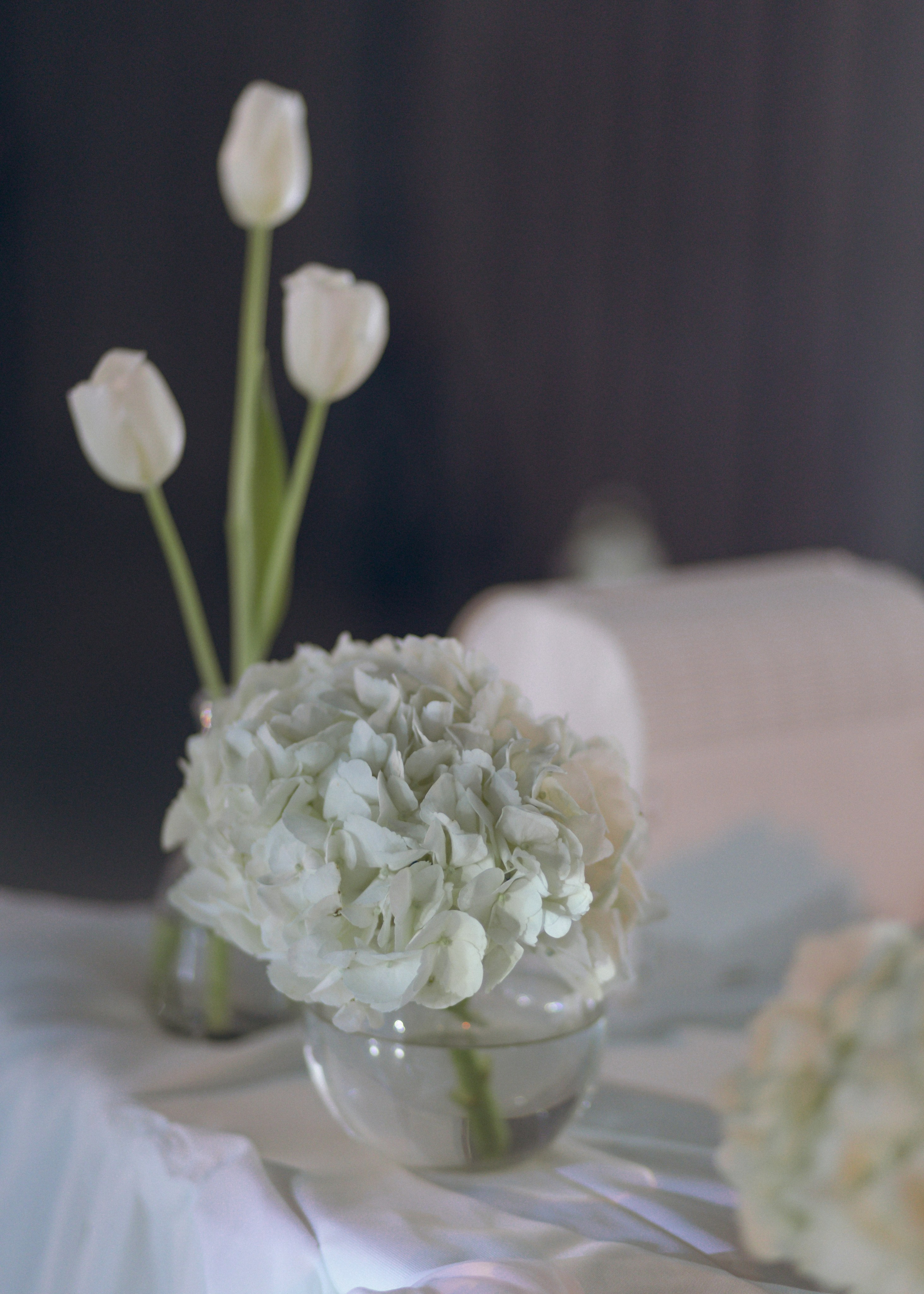 Дмитрий и Снежана, 1/11/2024. Свадебный  и семейный фотограф в Краснодаре